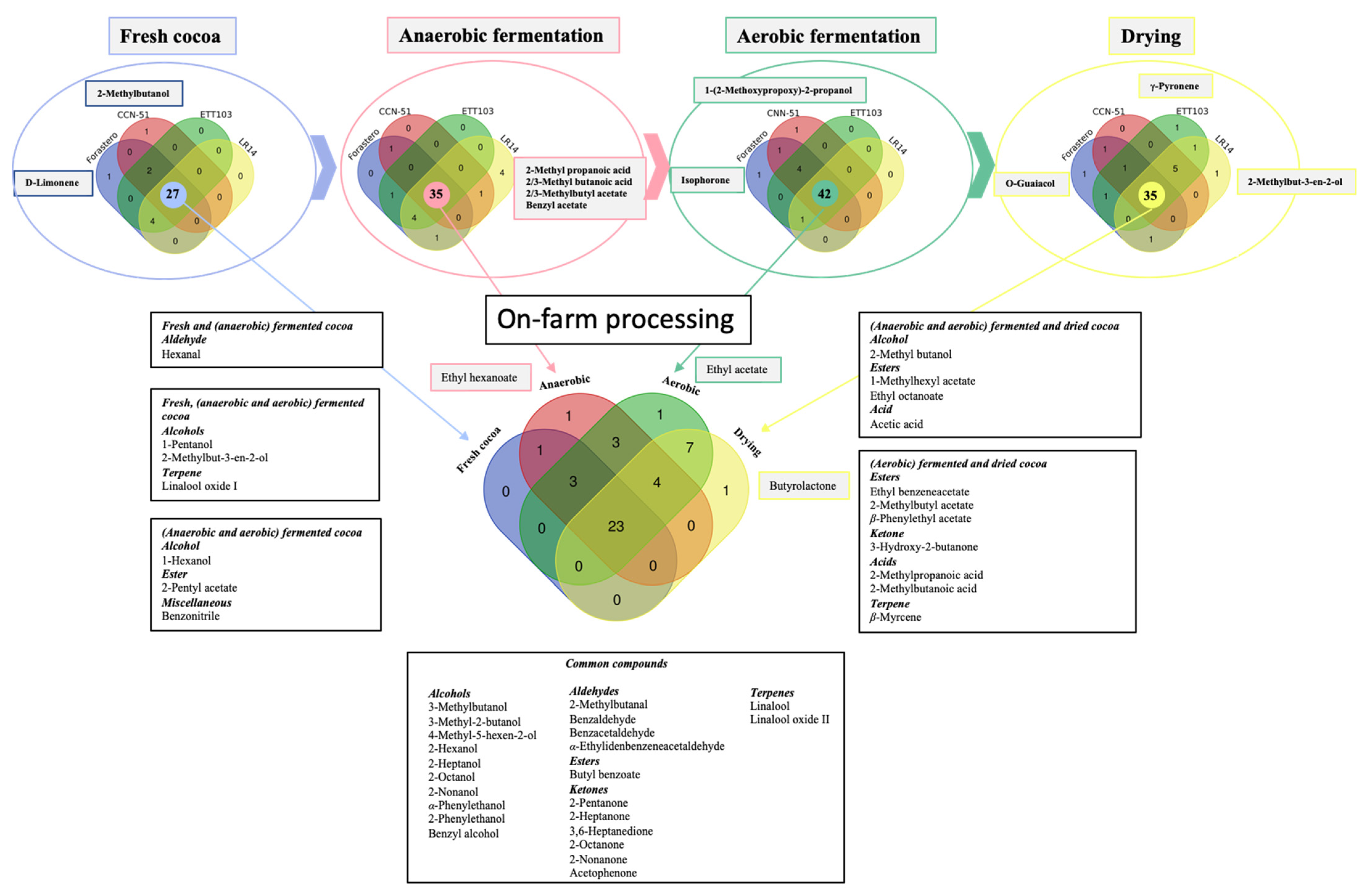 Plants 12 03904 g002
