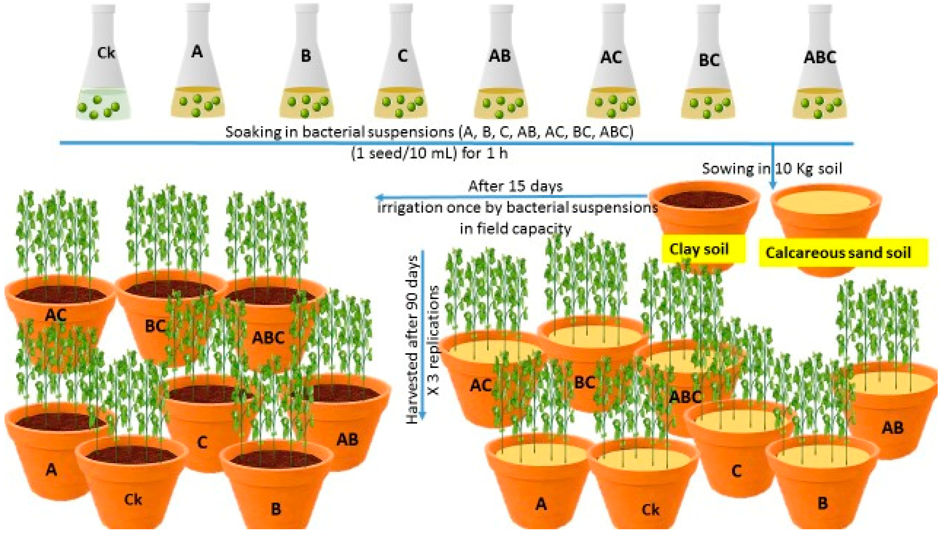 Plants 12 03931 g009