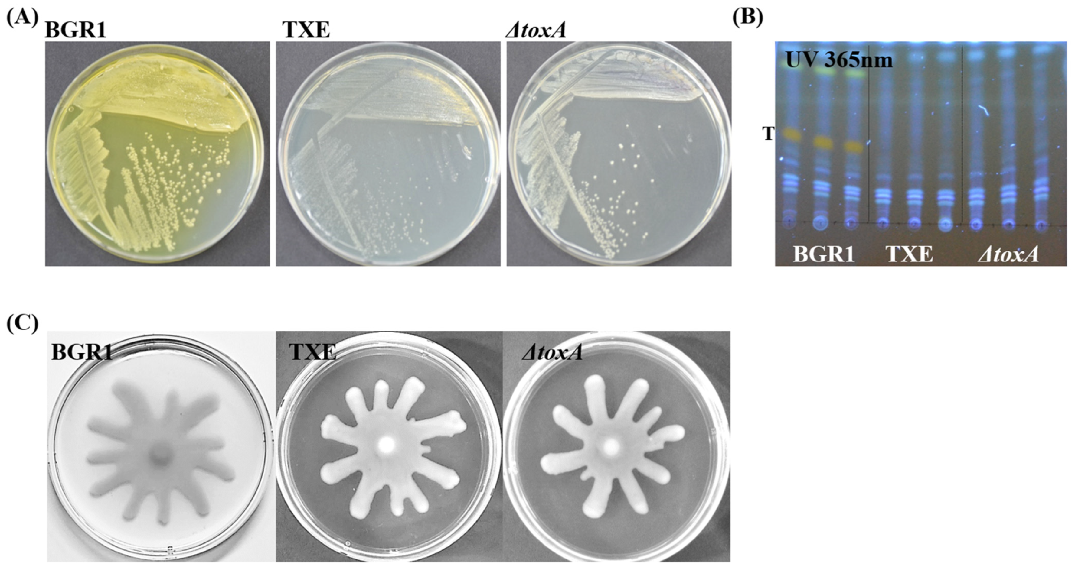 Plants 12 03934 g002