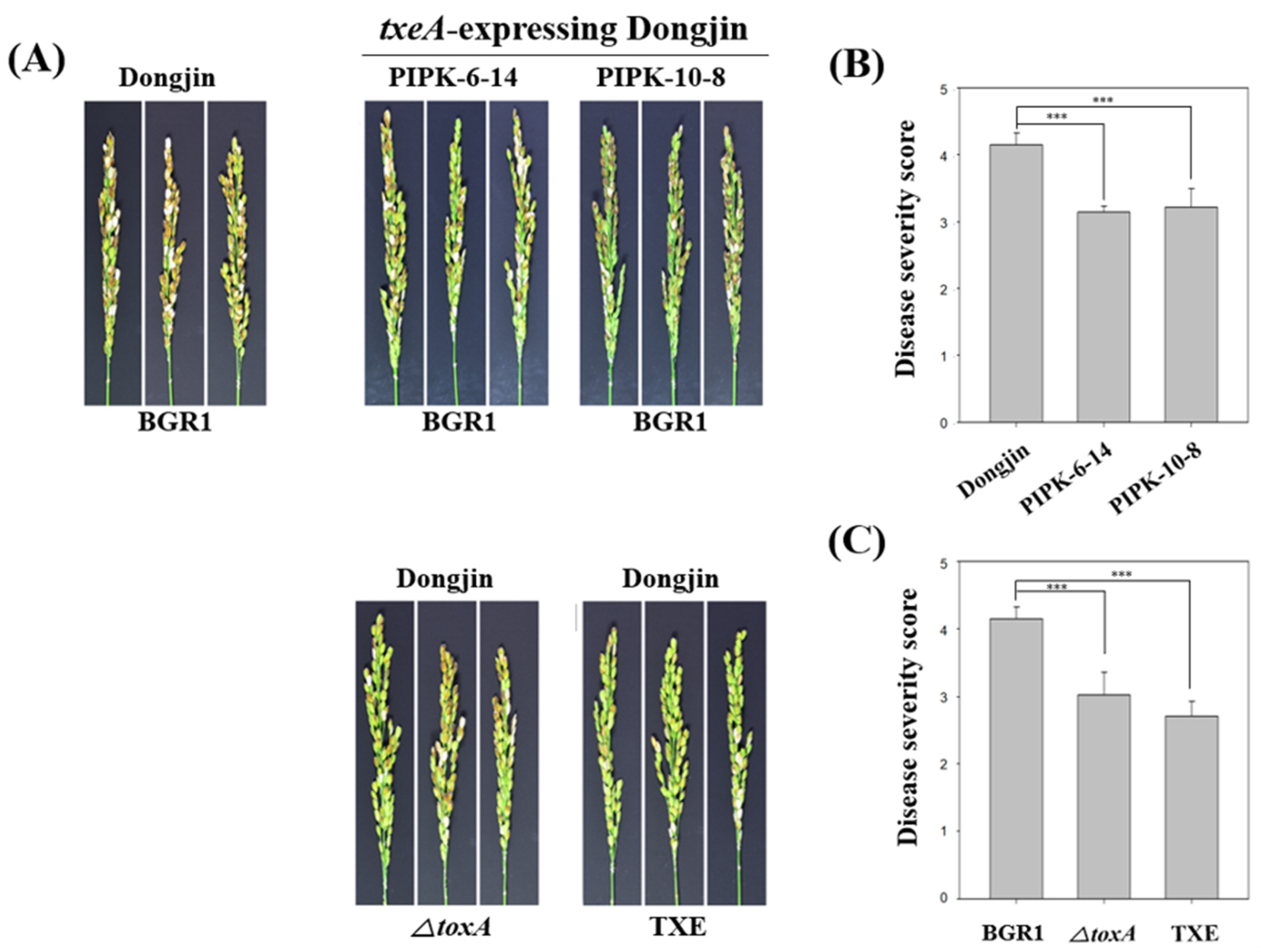 Plants 12 03934 g004
