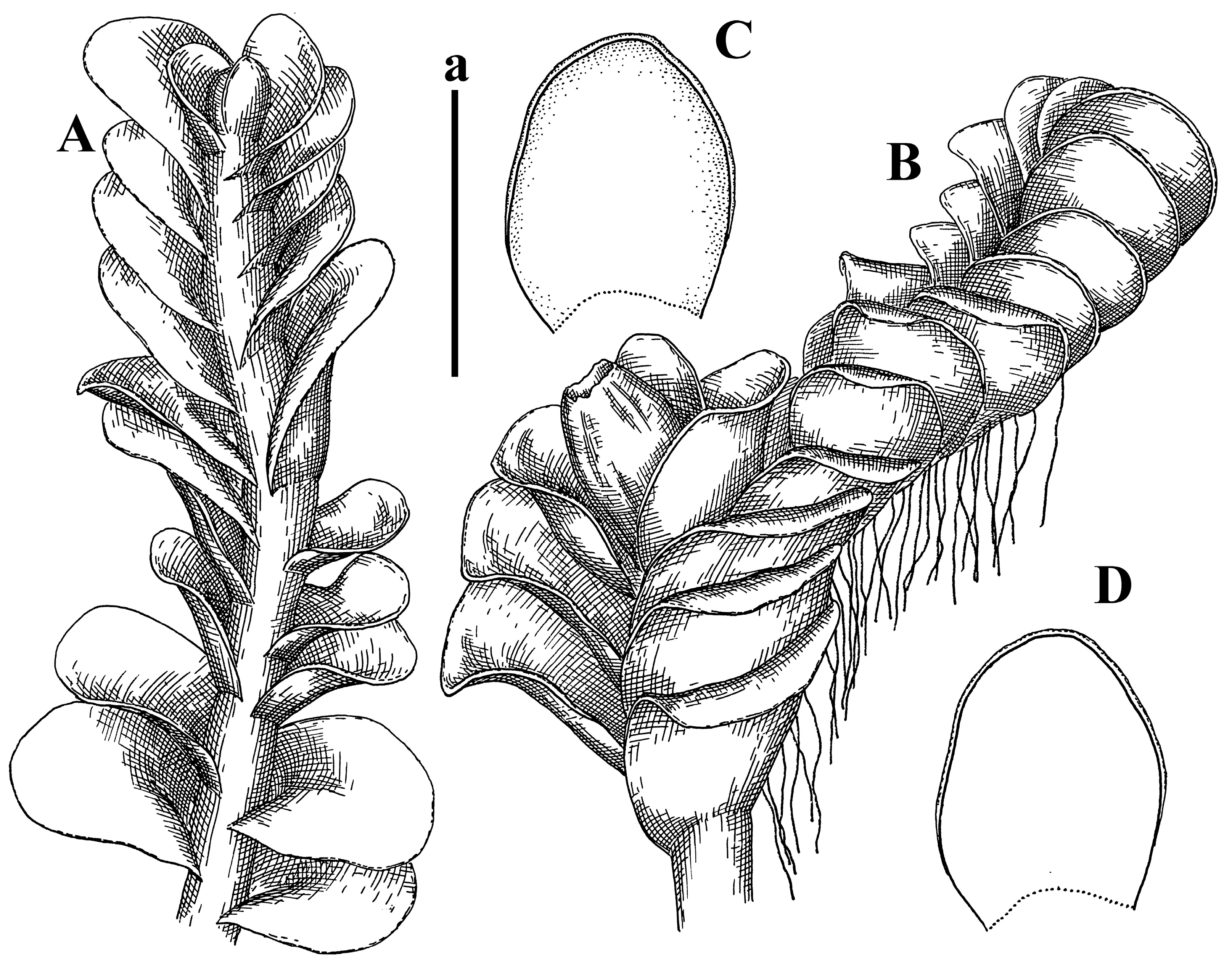 Plants 12 03935 g009