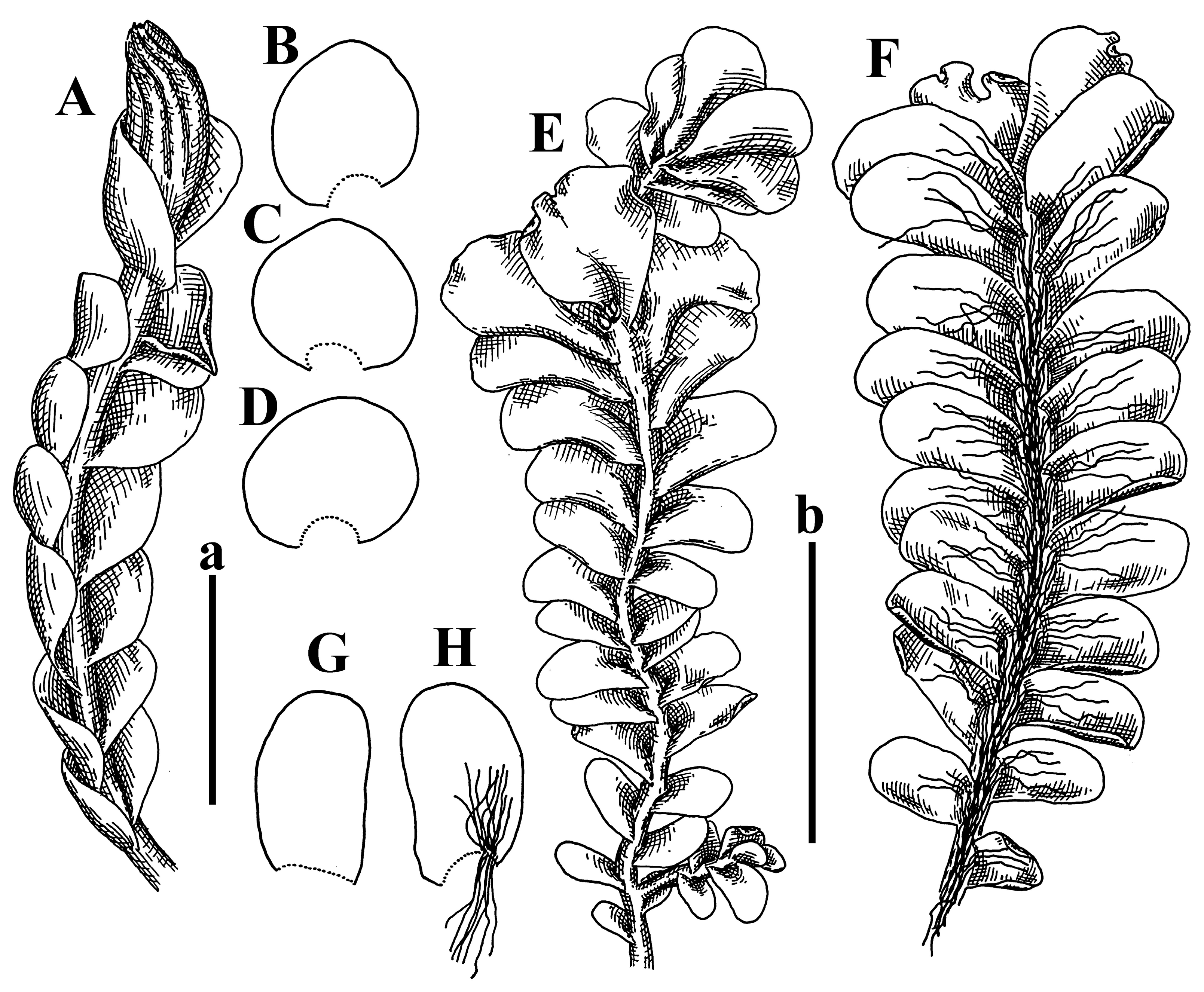 Plants 12 03935 g010