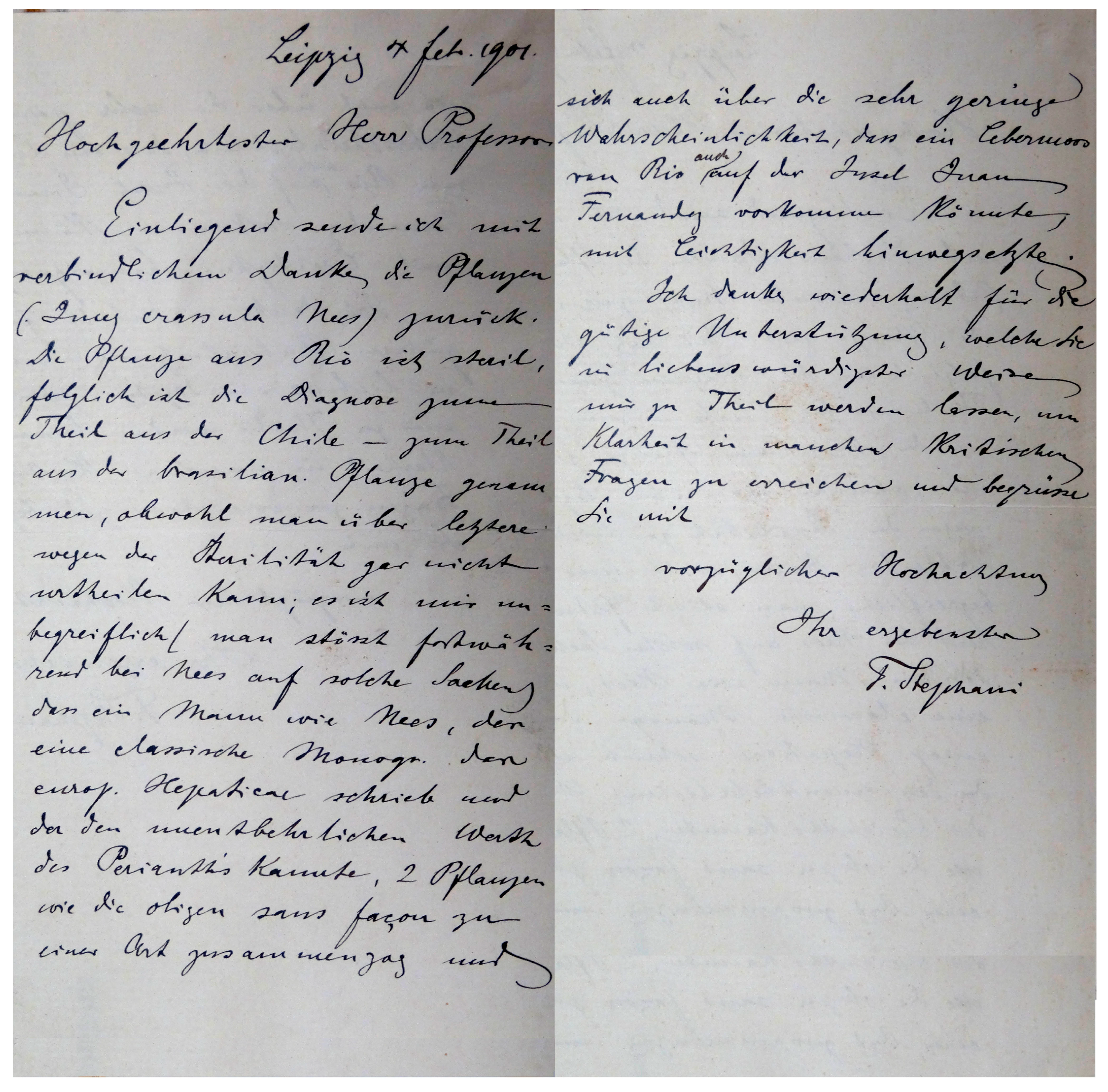 Plants 12 03935 g013