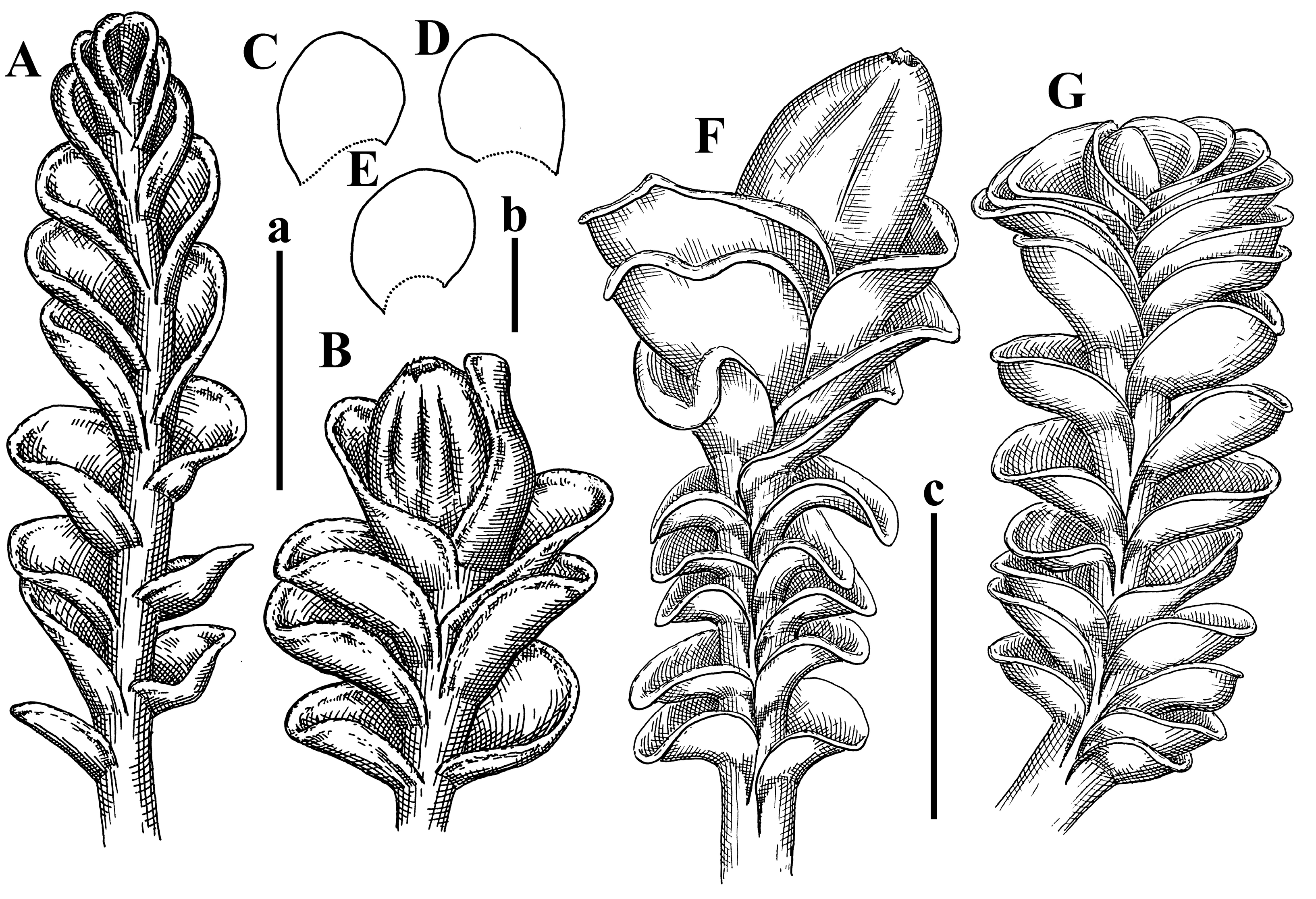 Plants 12 03935 g015