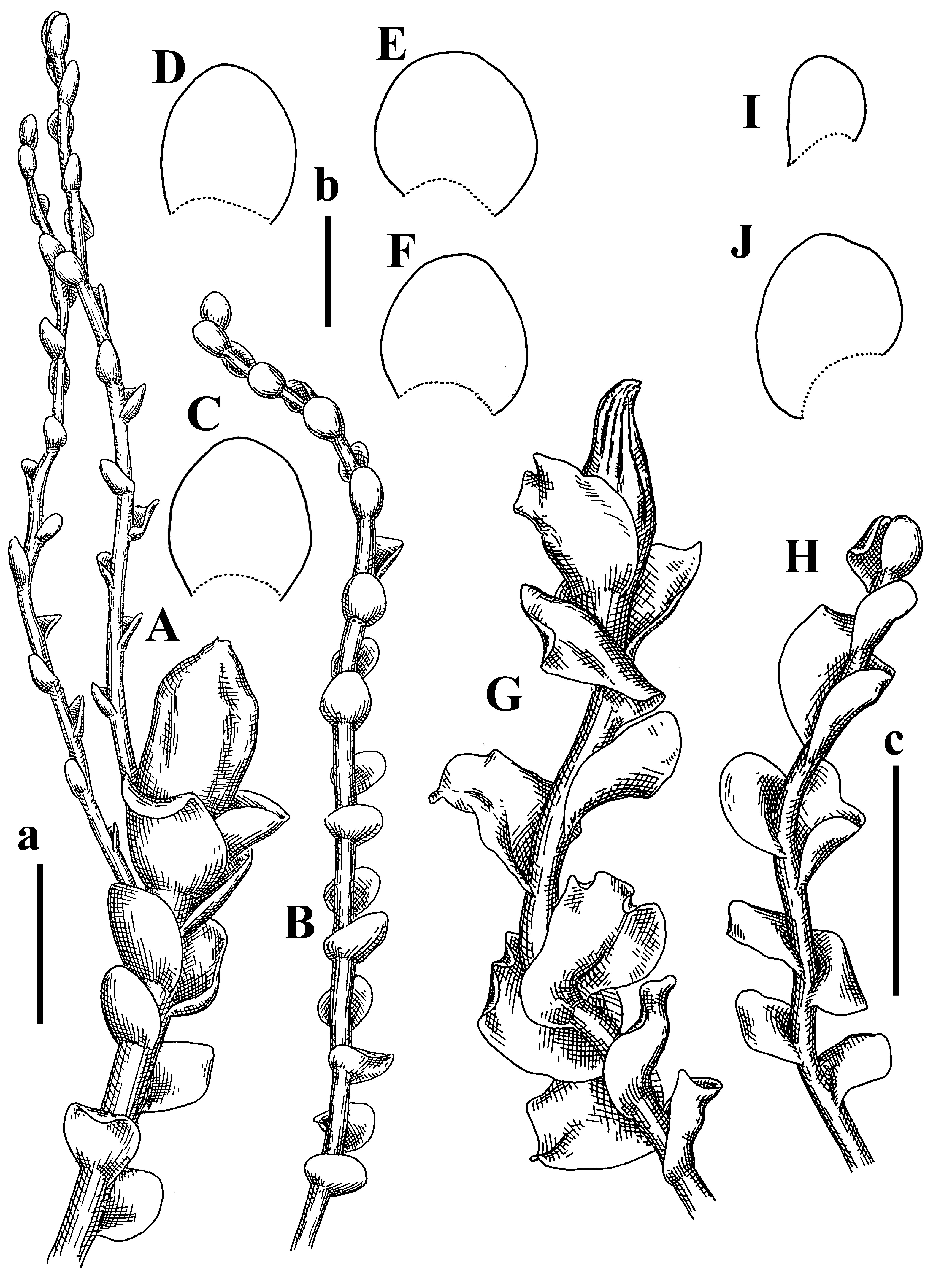 Plants 12 03935 g016