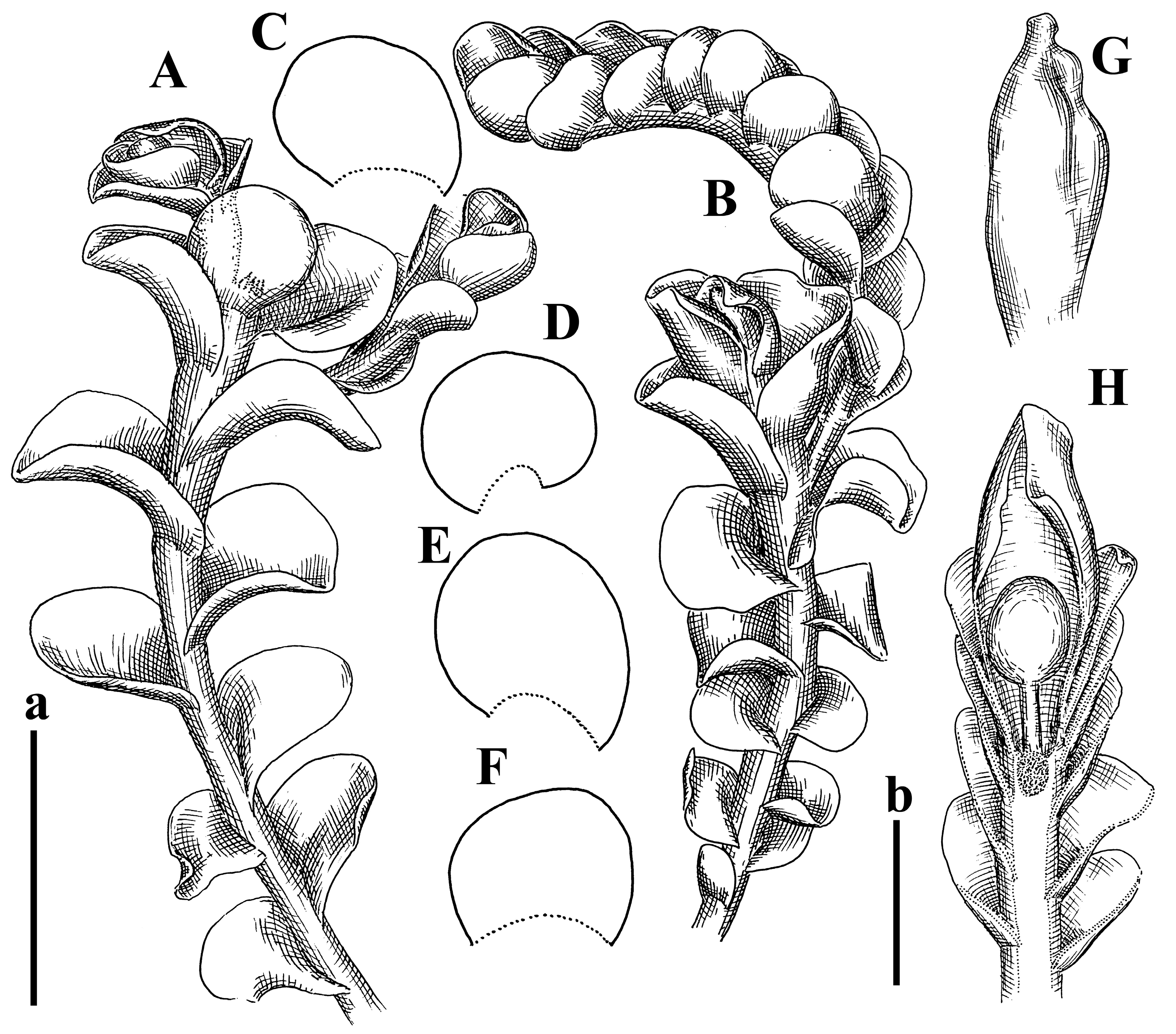 Plants 12 03935 g023