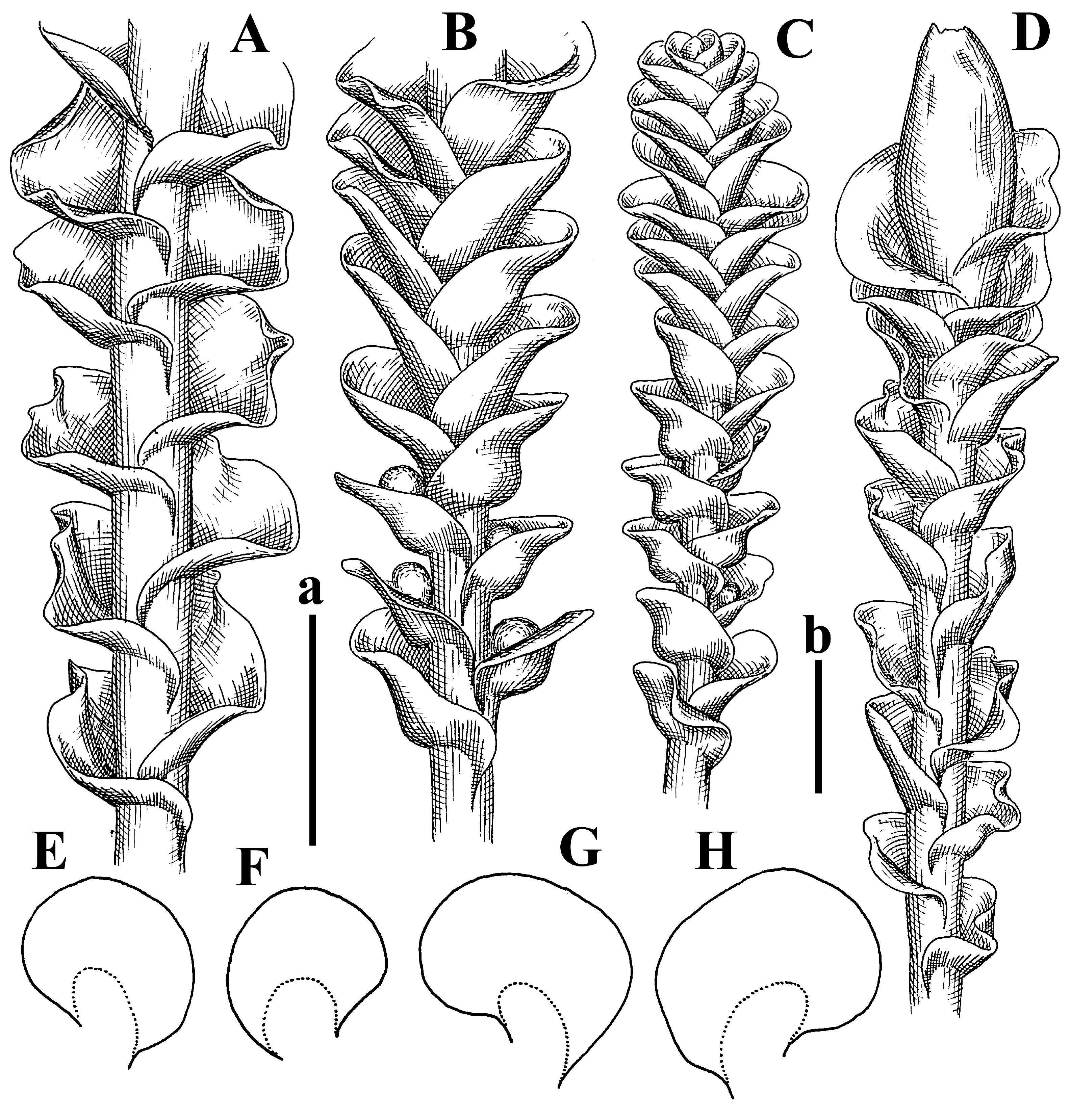 Plants 12 03935 g025