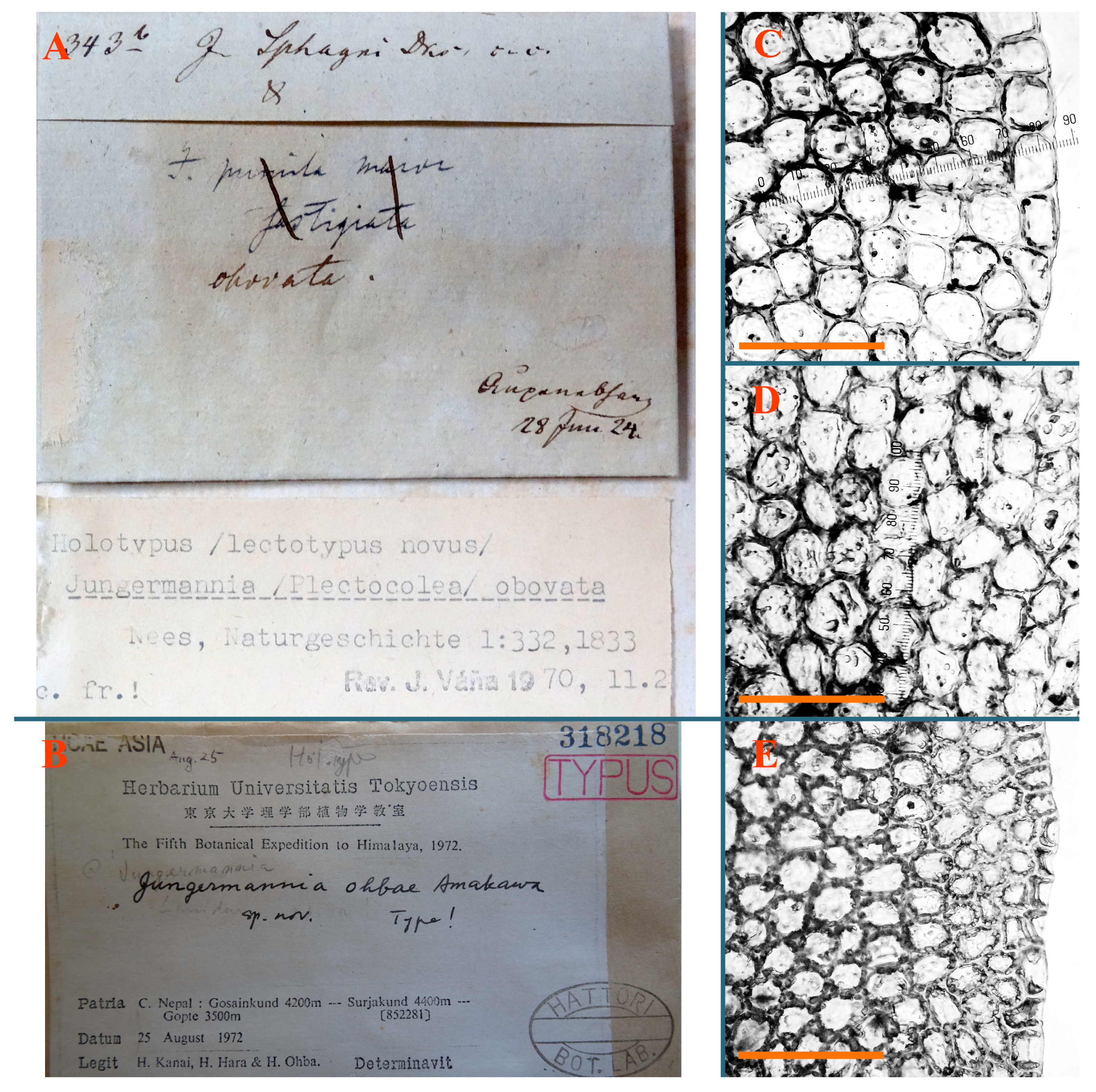 Plants 12 03935 g027