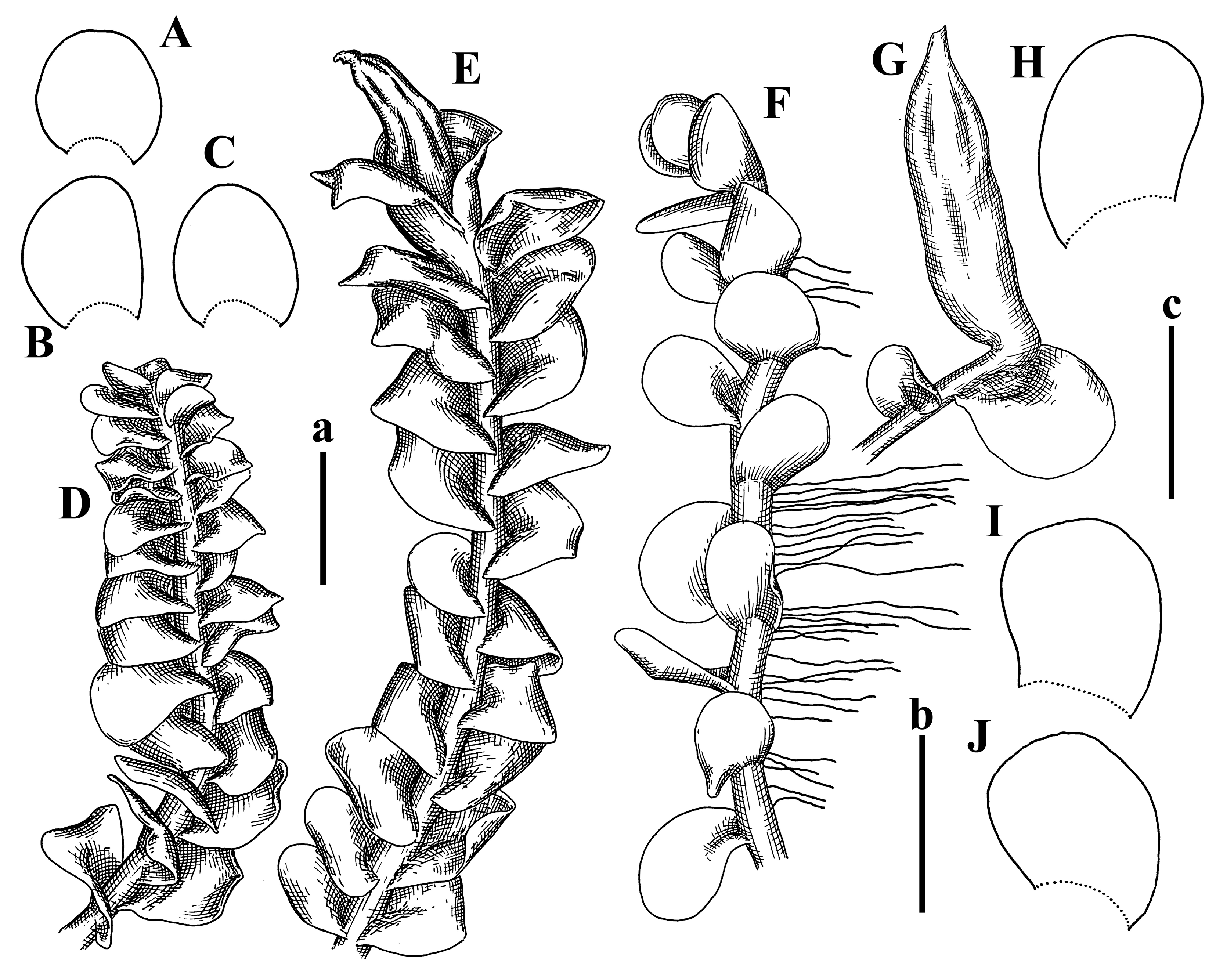 Plants 12 03935 g029