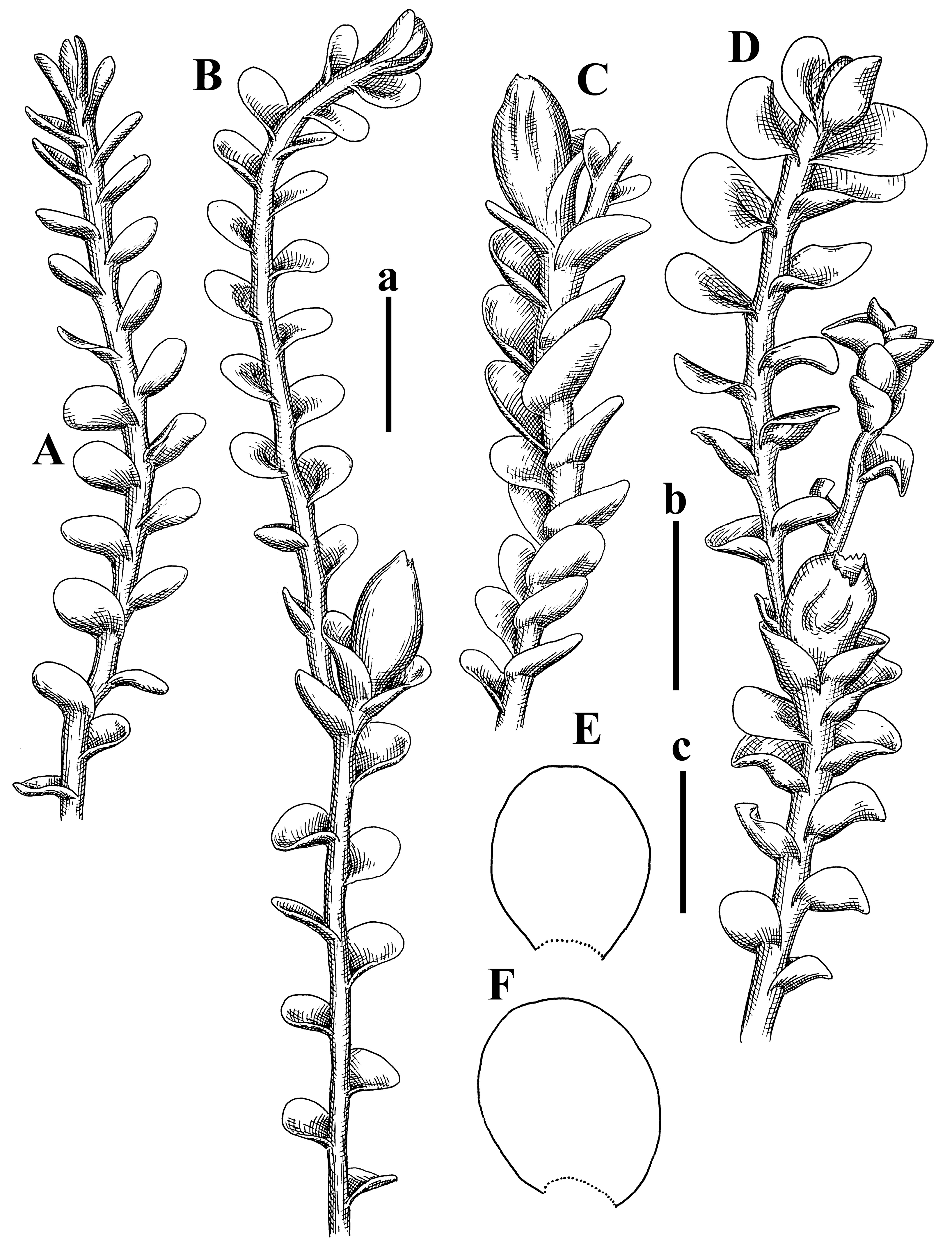 Plants 12 03935 g034