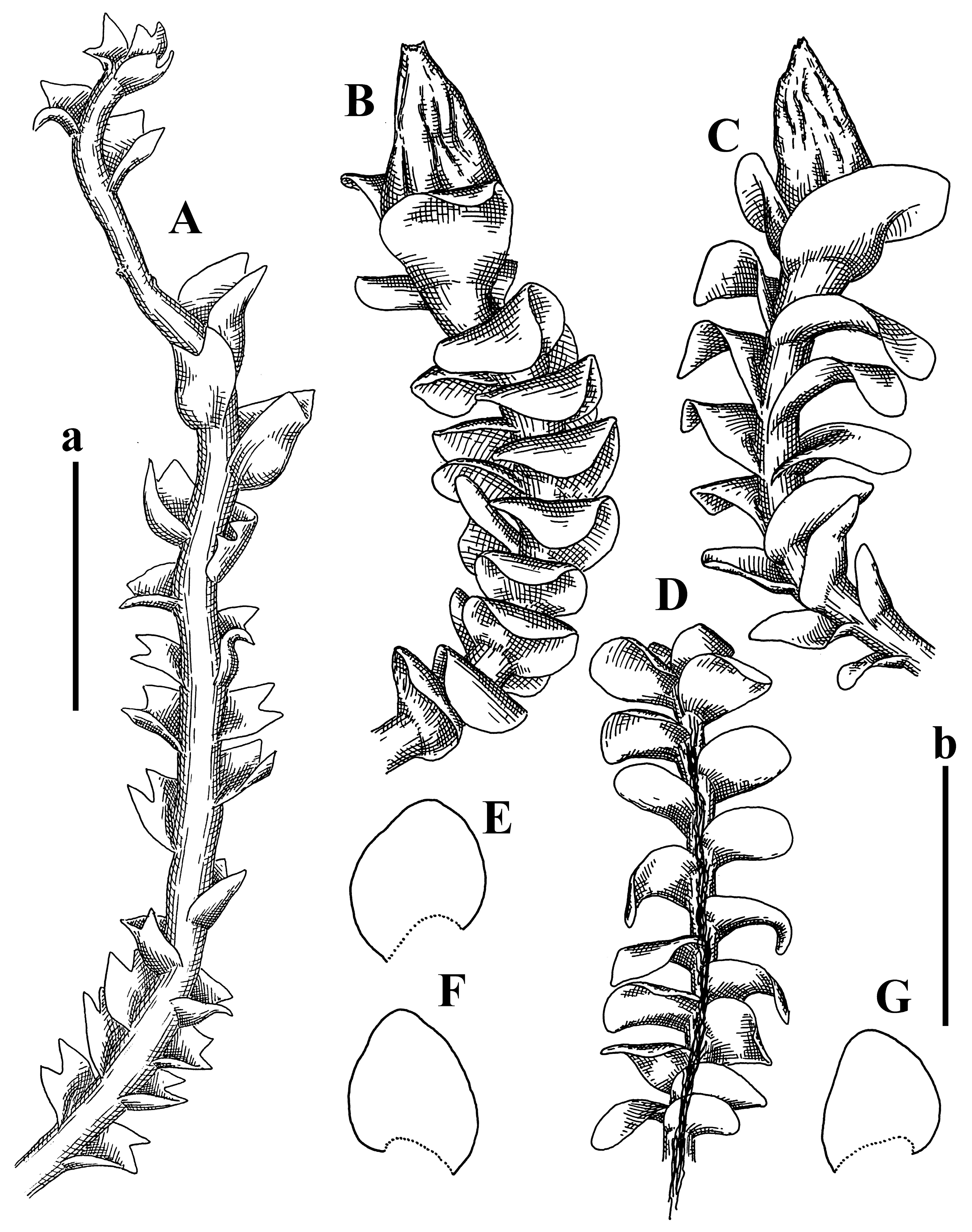 Plants 12 03935 g046