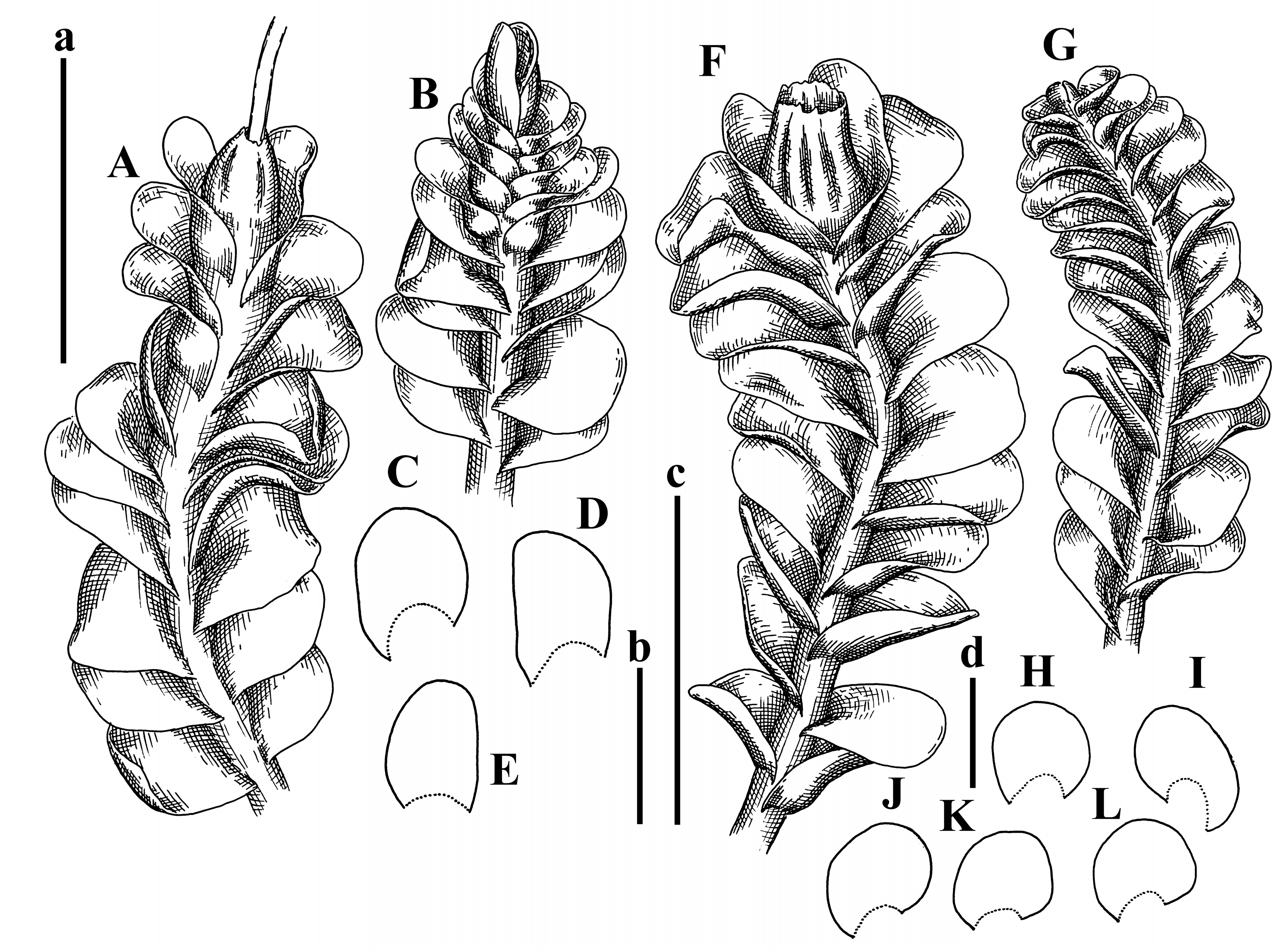 Plants 12 03935 g049