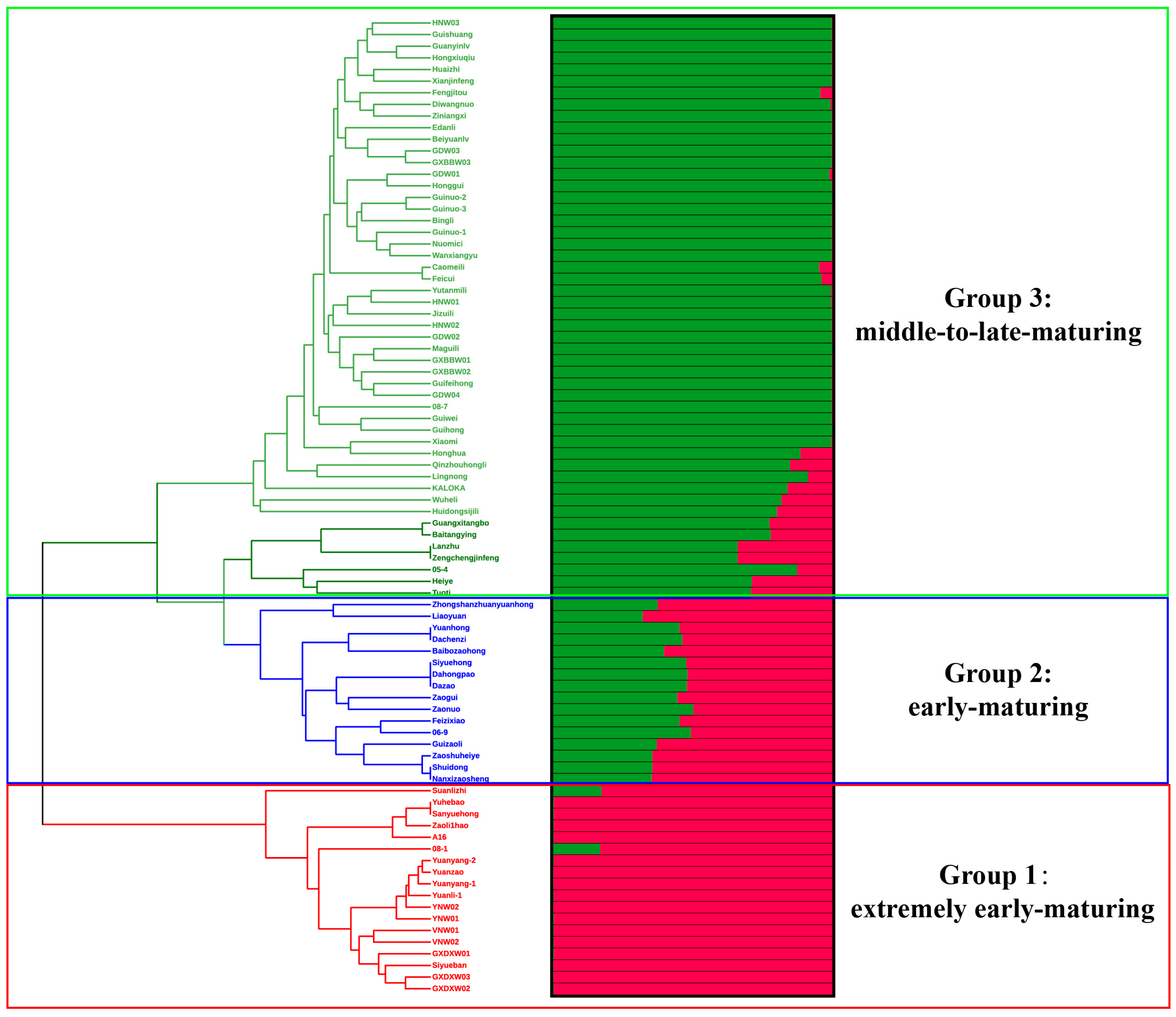 Plants 12 03949 g003