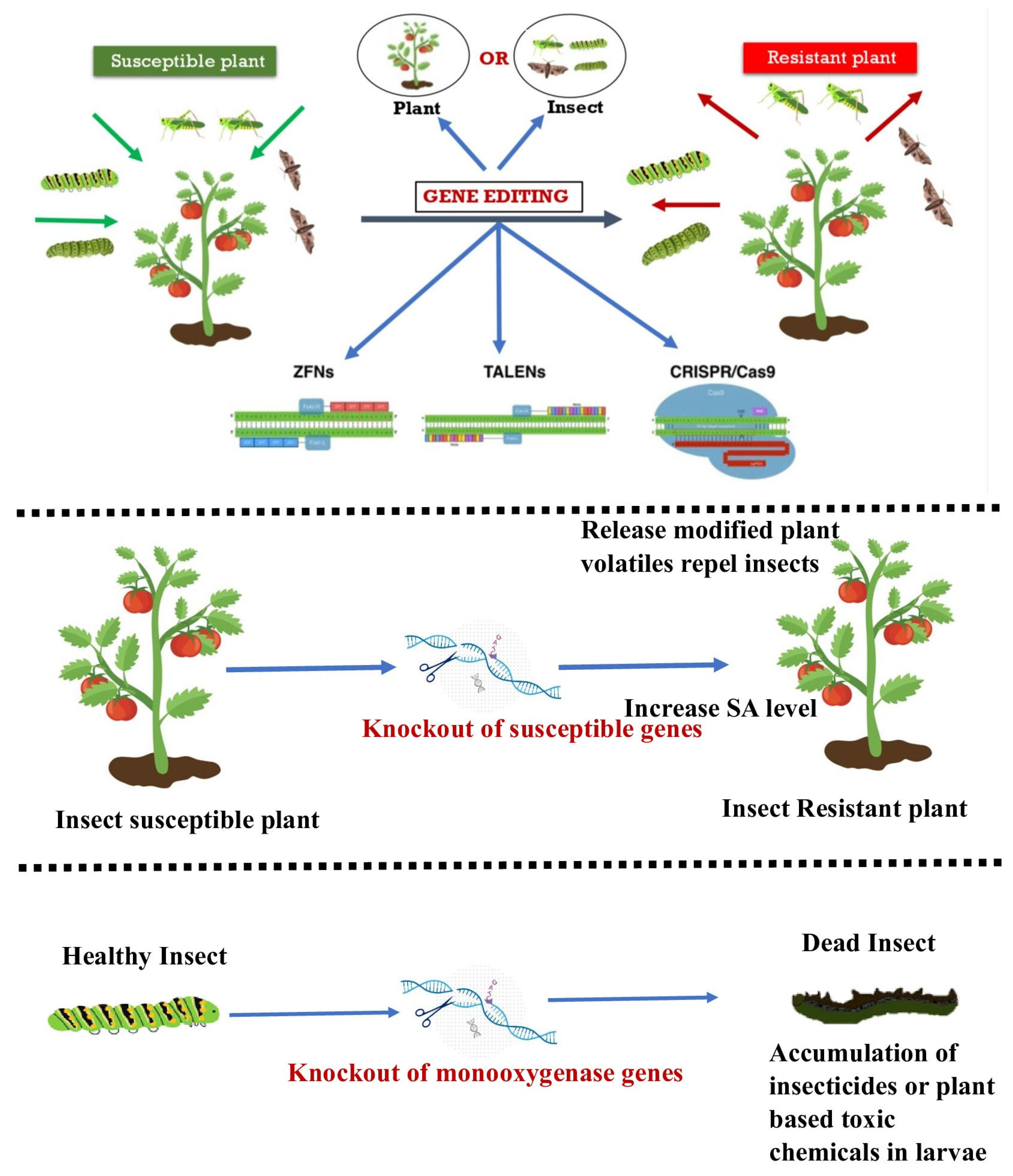 Plants 12 03961 g002