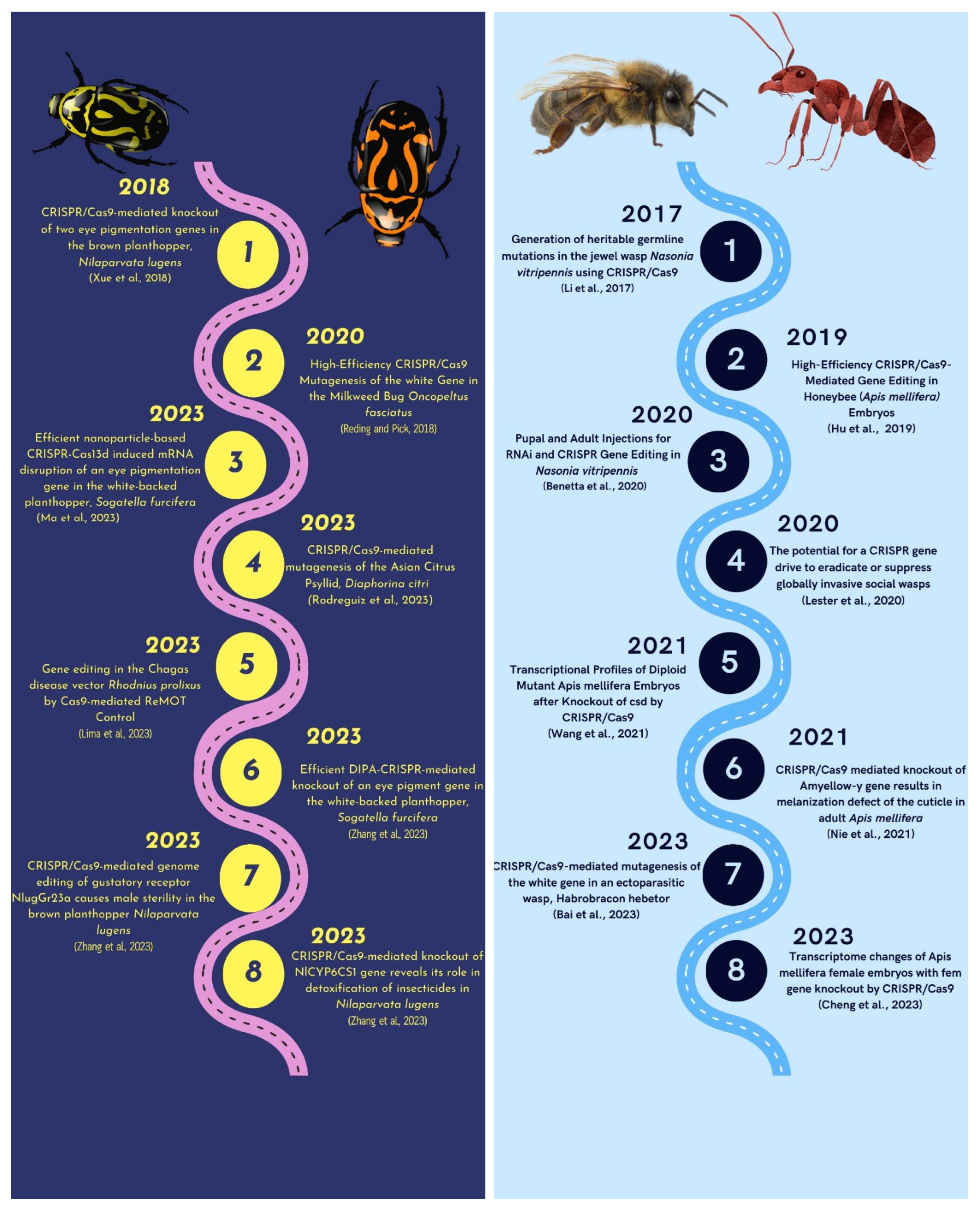 Plants 12 03961 g004