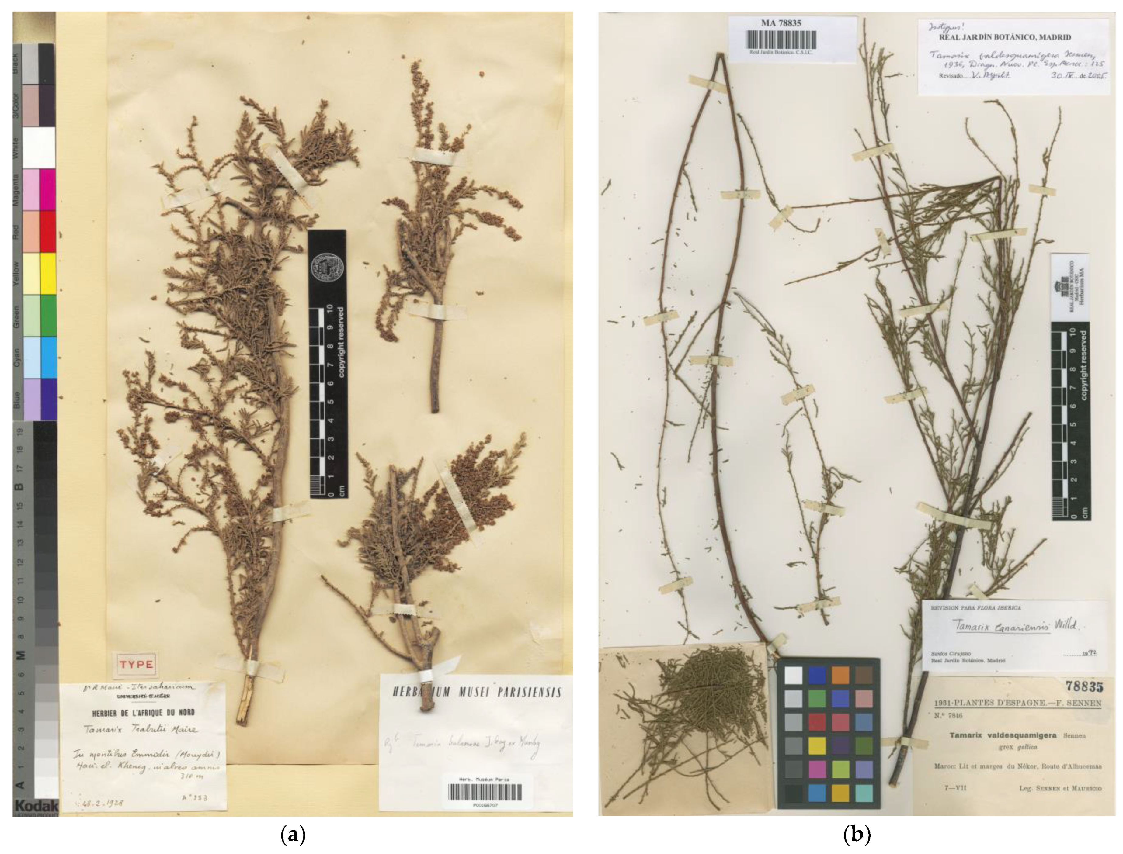 Plants 12 03969 g005 Plants 12 03969 g005