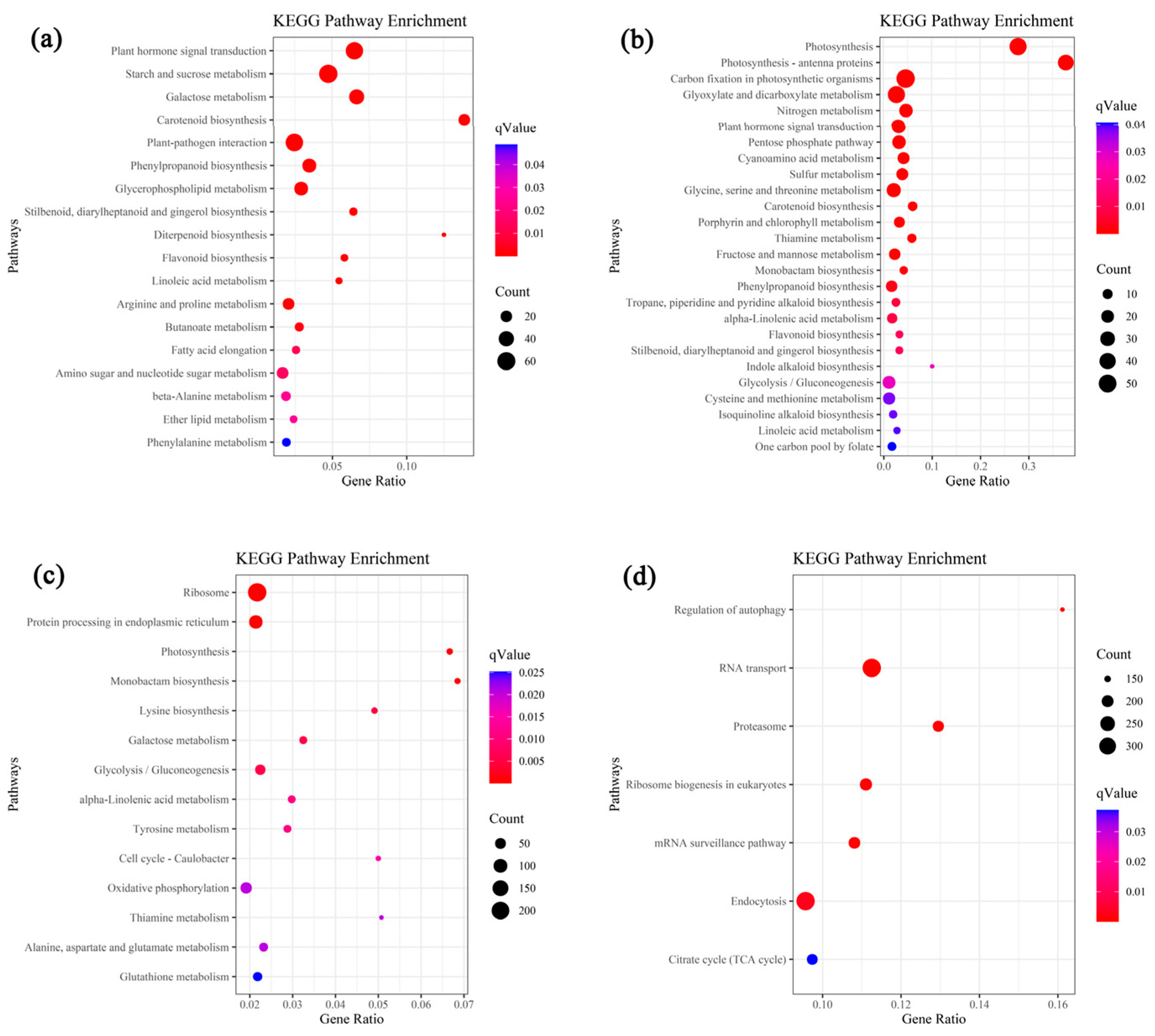 Plants 12 03971 g002