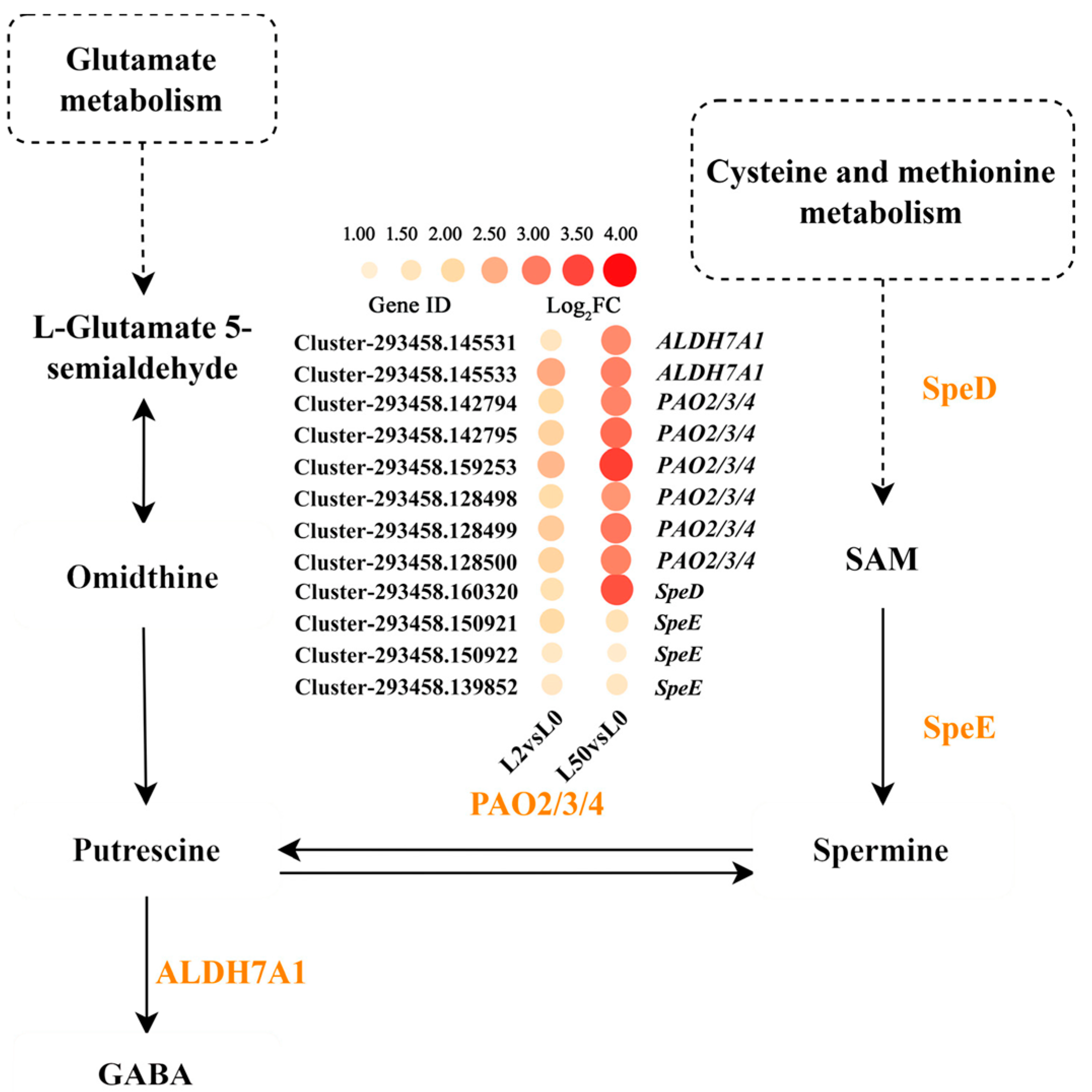 Plants 12 03971 g005