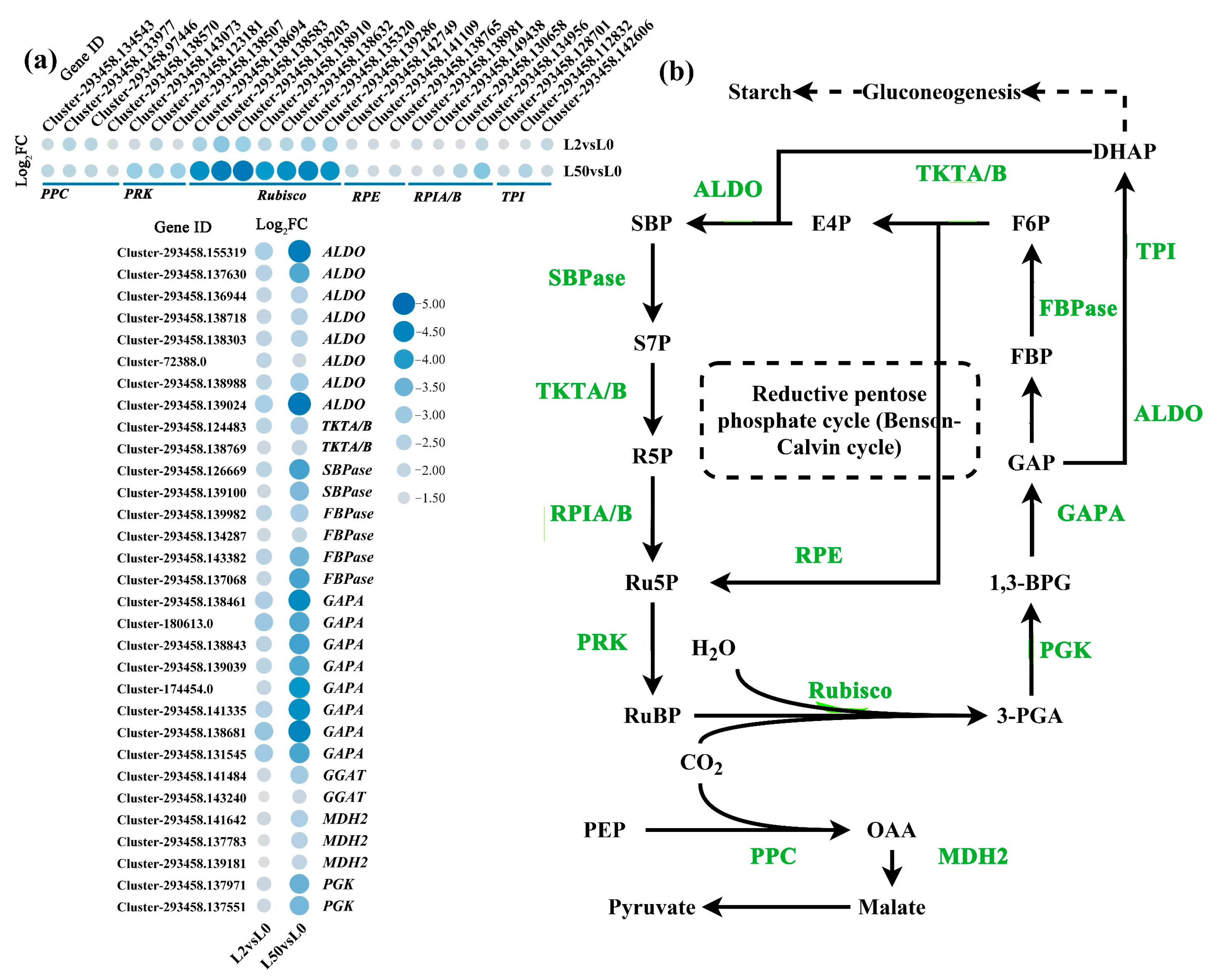 Plants 12 03971 g008