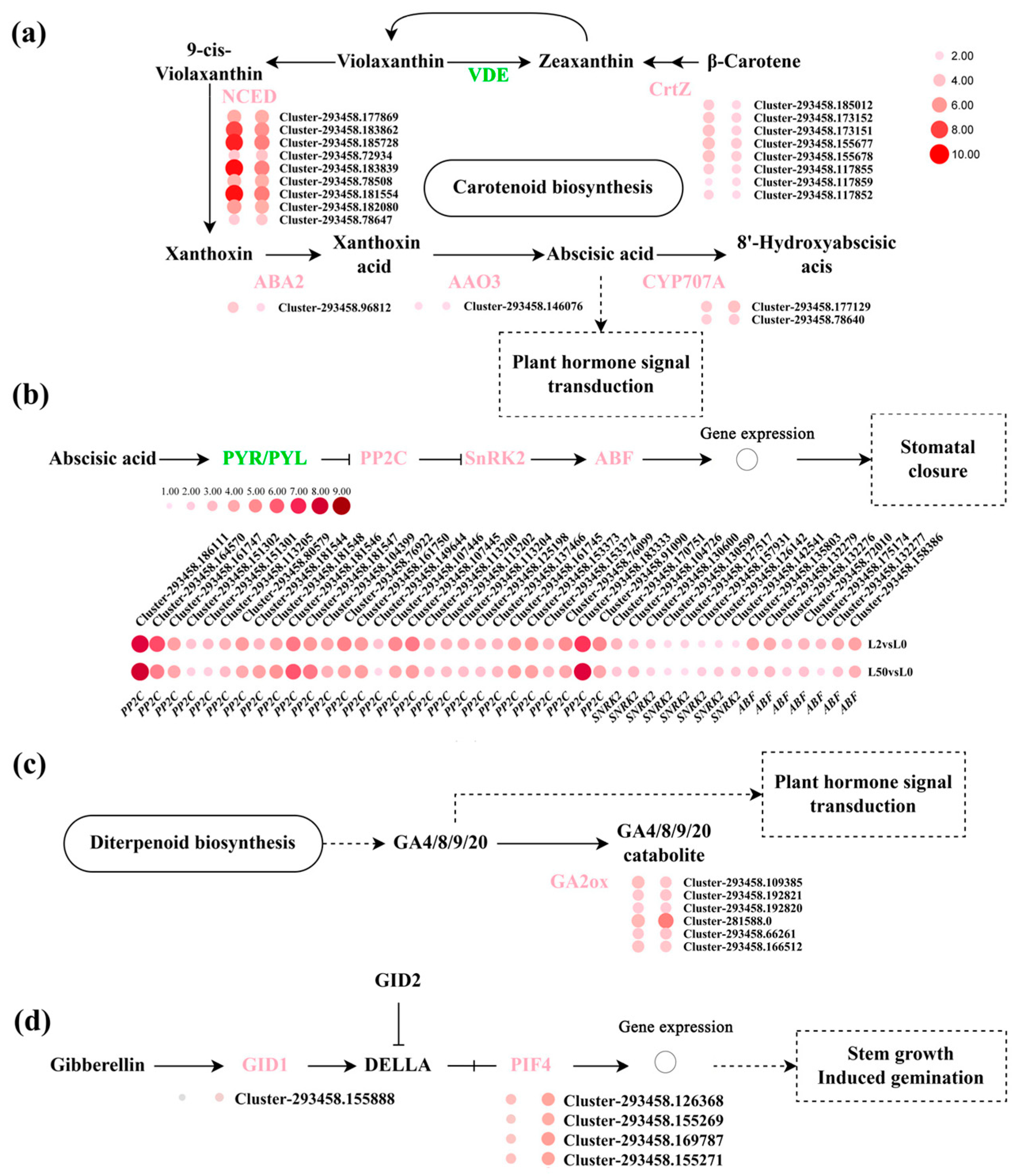 Plants 12 03971 g009