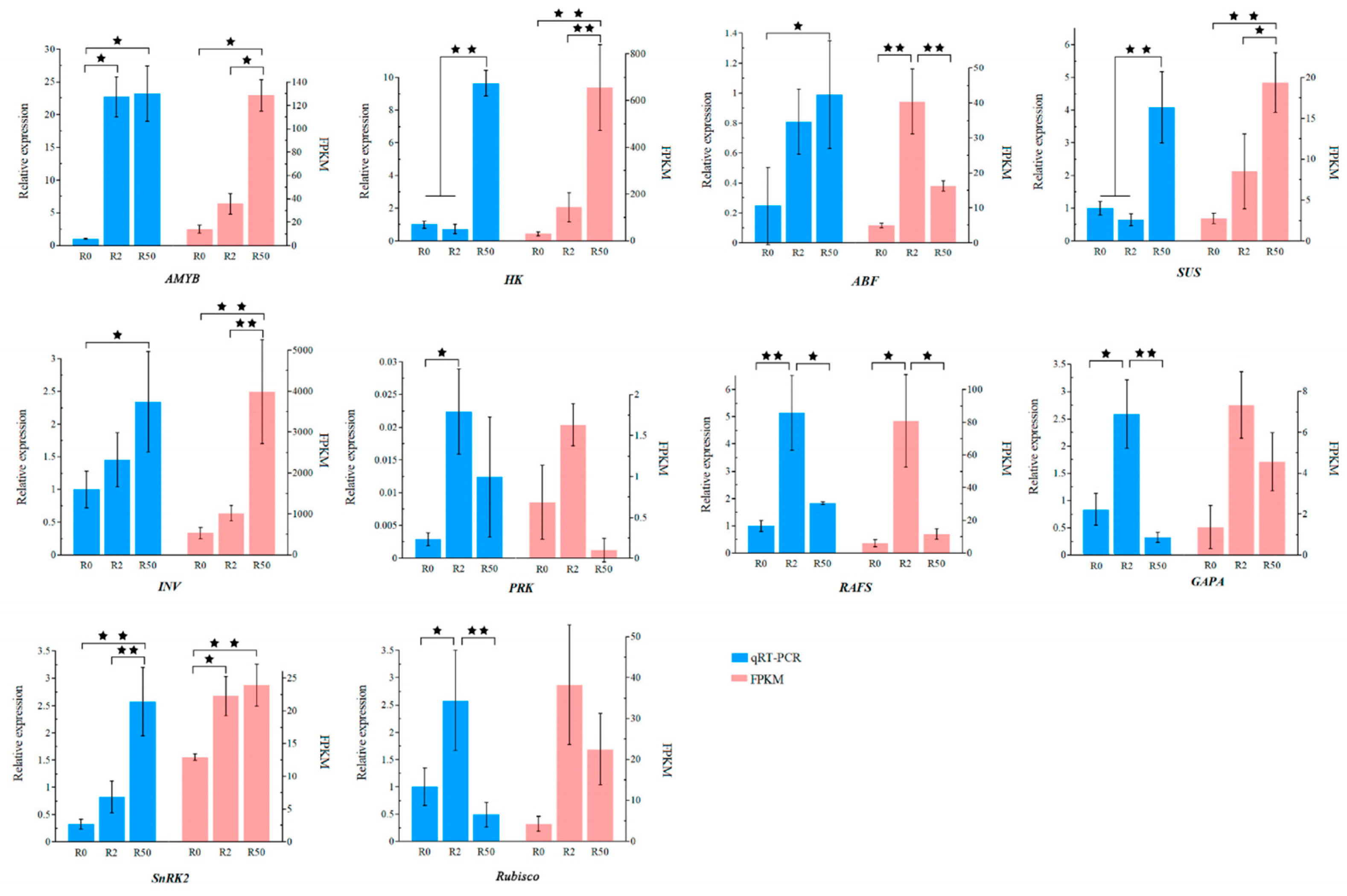 Plants 12 03971 g012