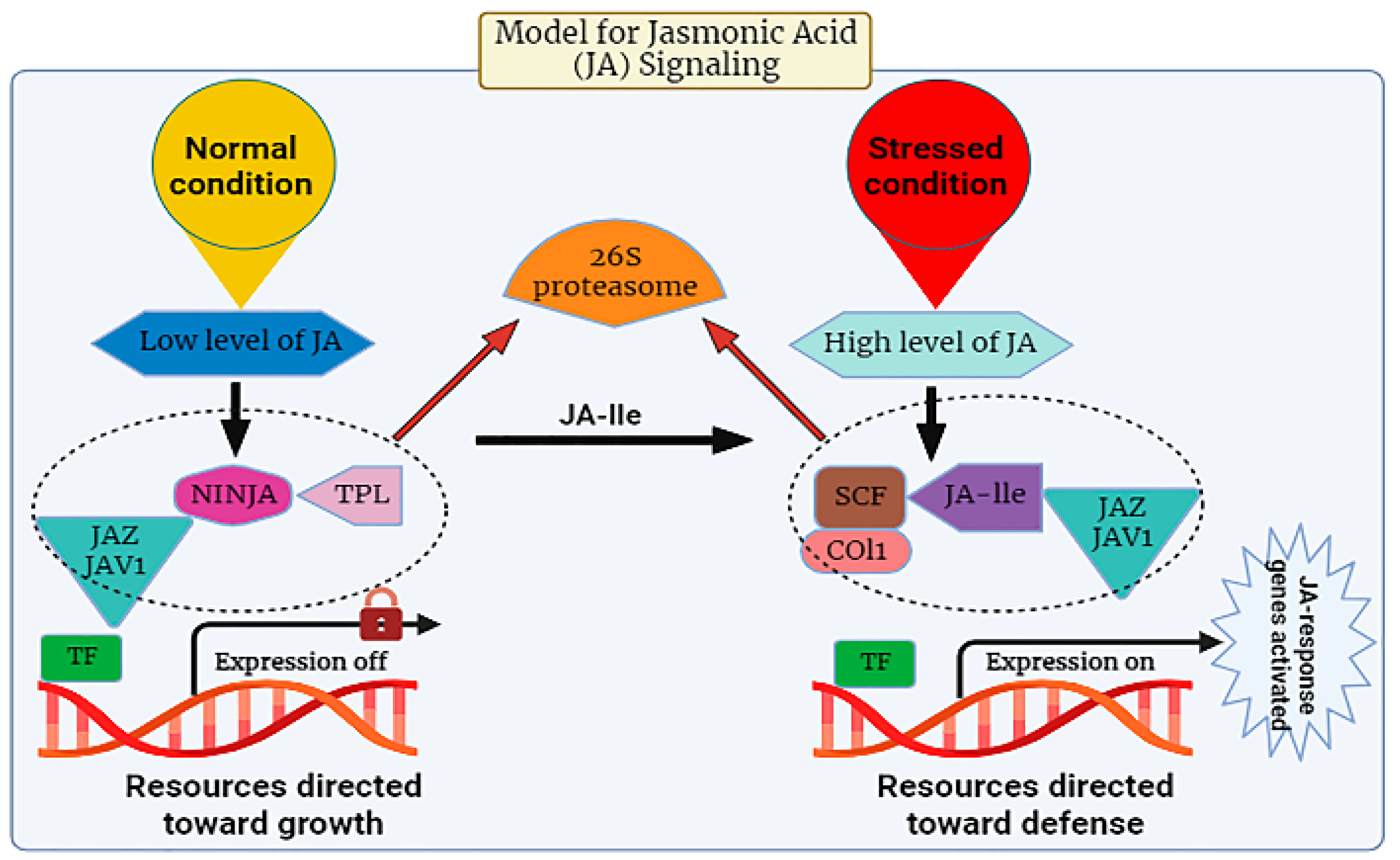 Plants 12 03982 g002