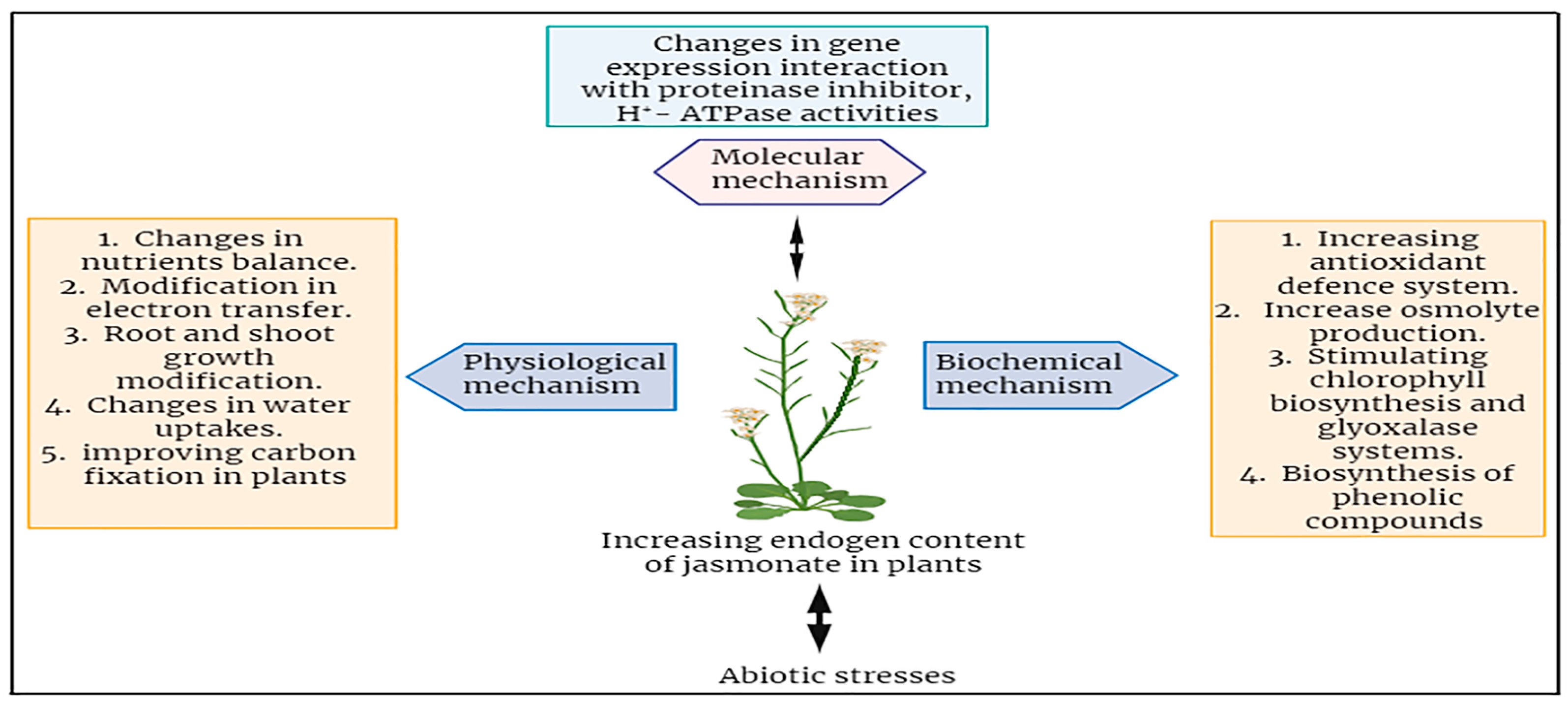 Plants 12 03982 g004