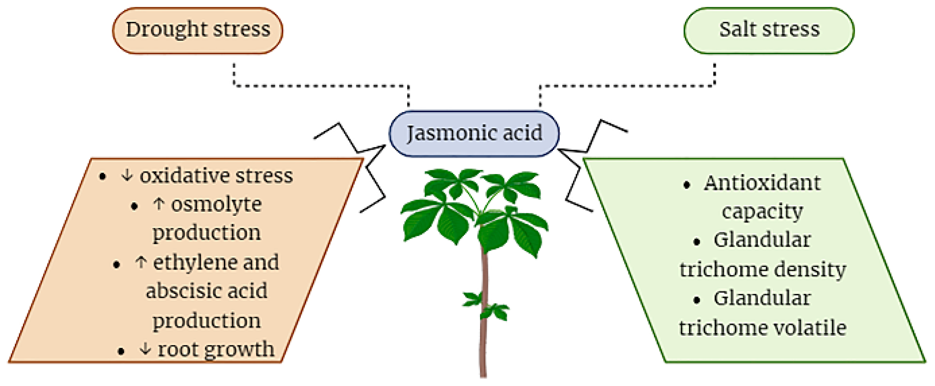 Plants 12 03982 g005