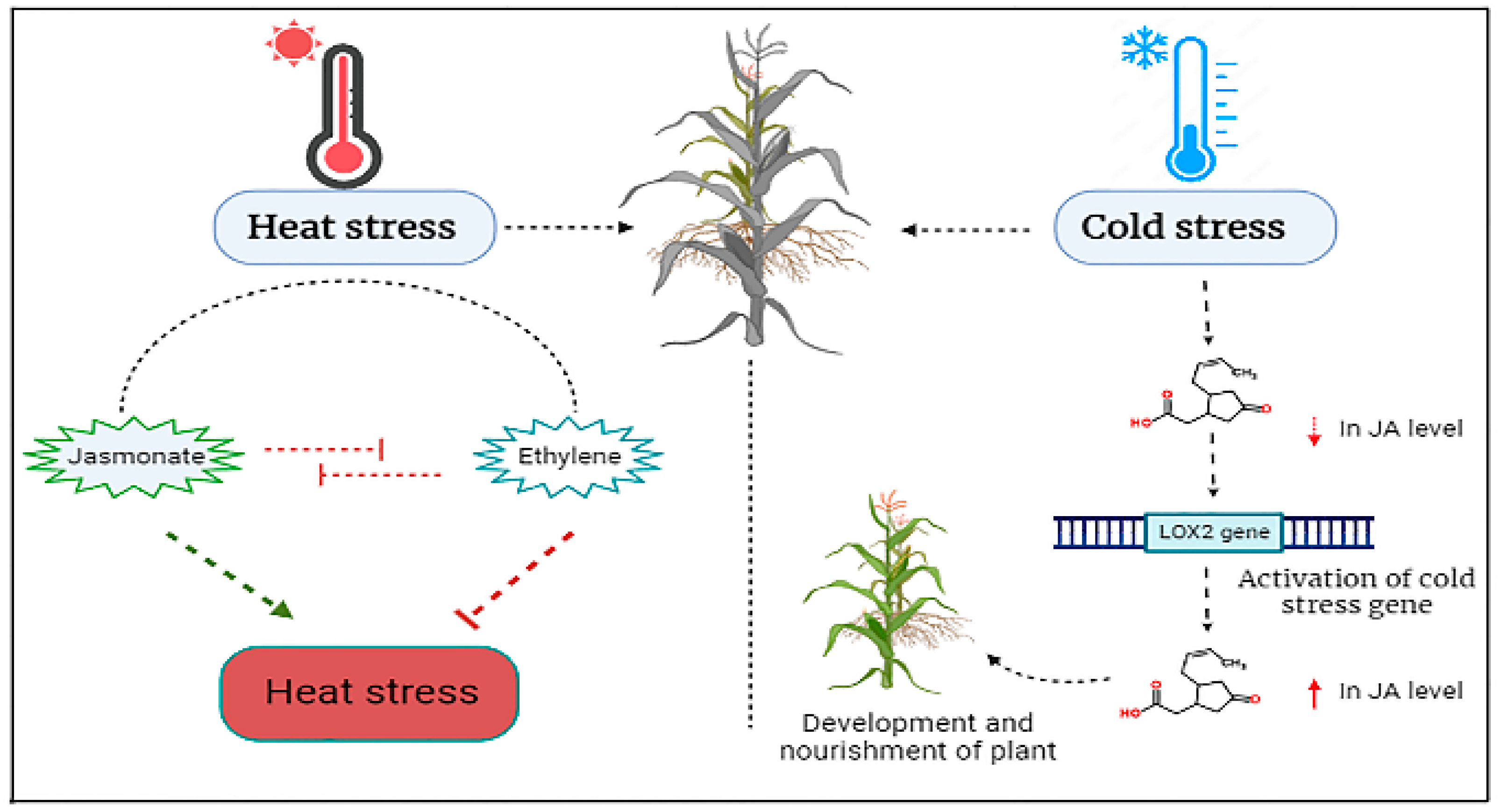 Plants 12 03982 g006