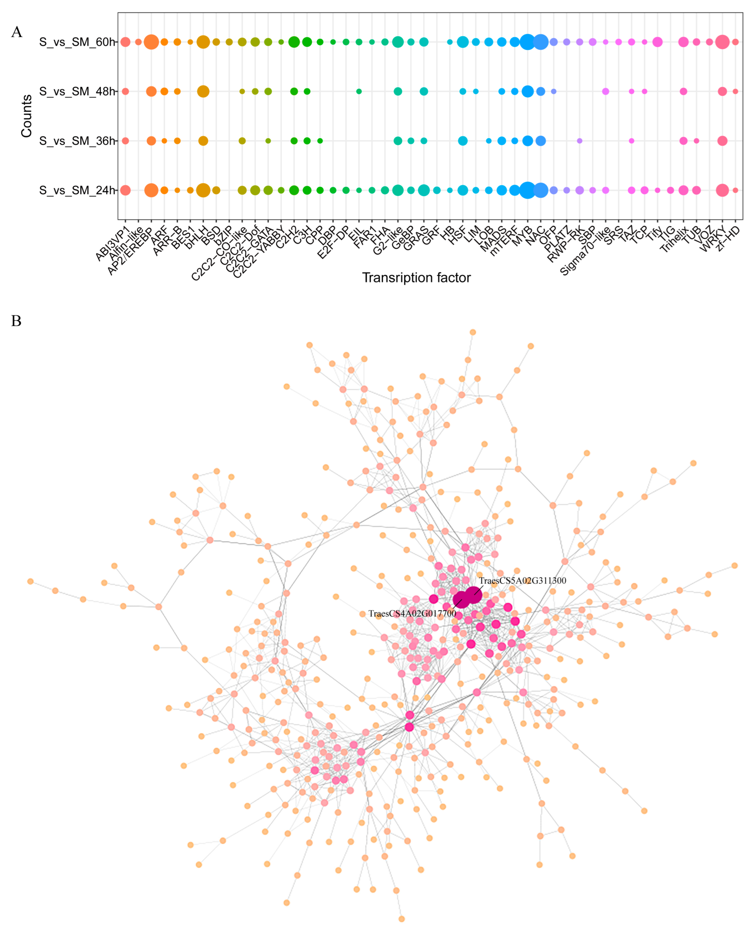 Plants 12 03984 g007