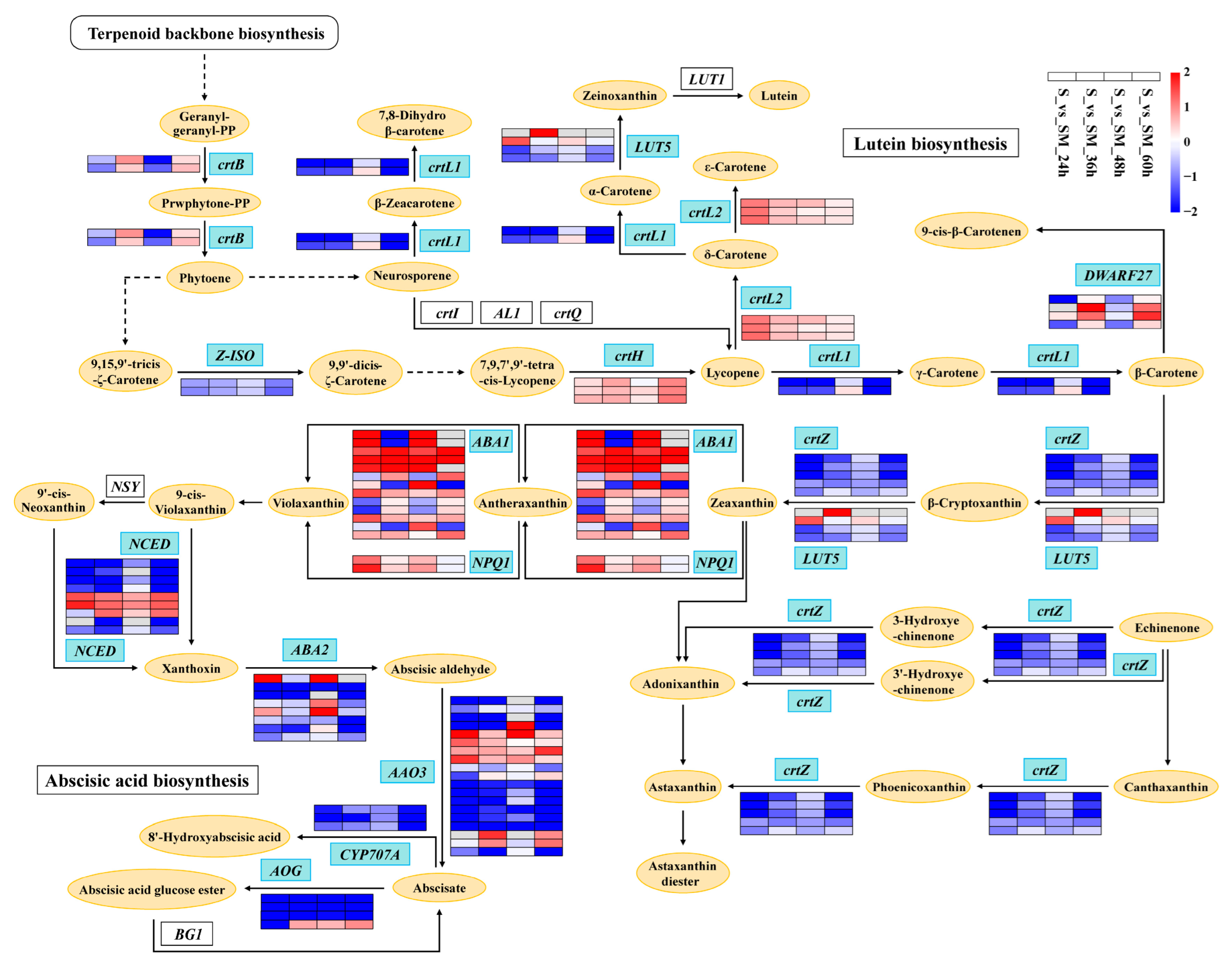 Plants 12 03984 g010
