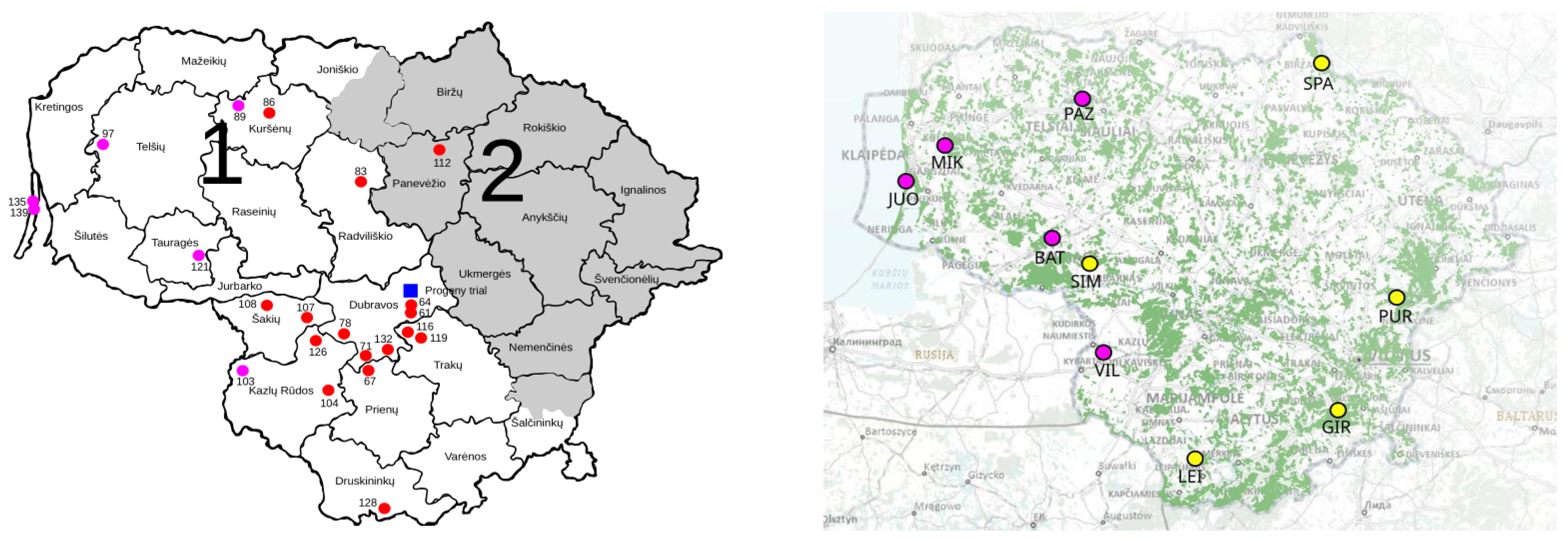 Plants 12 03986 g005