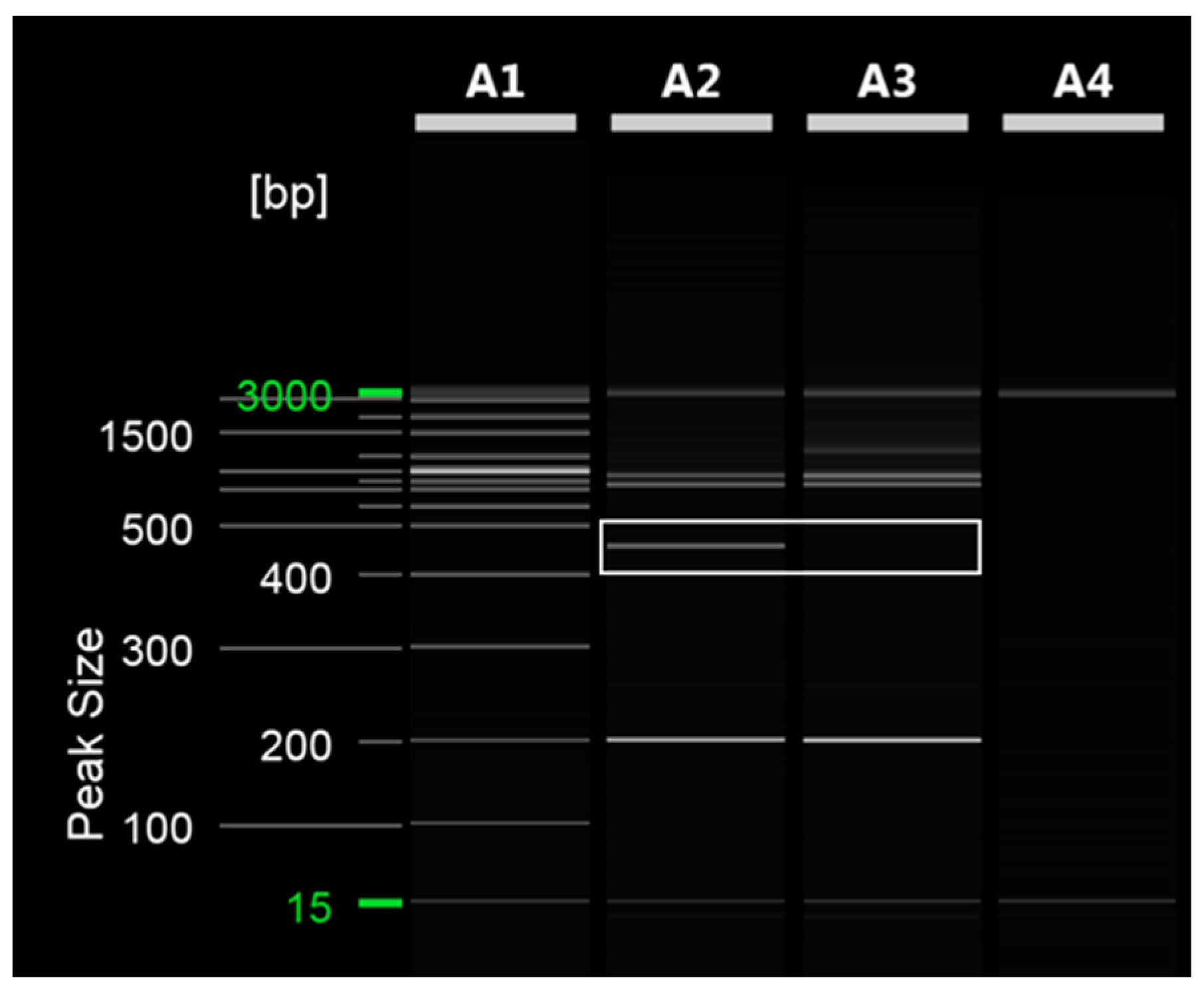 Plants 12 03988 g002