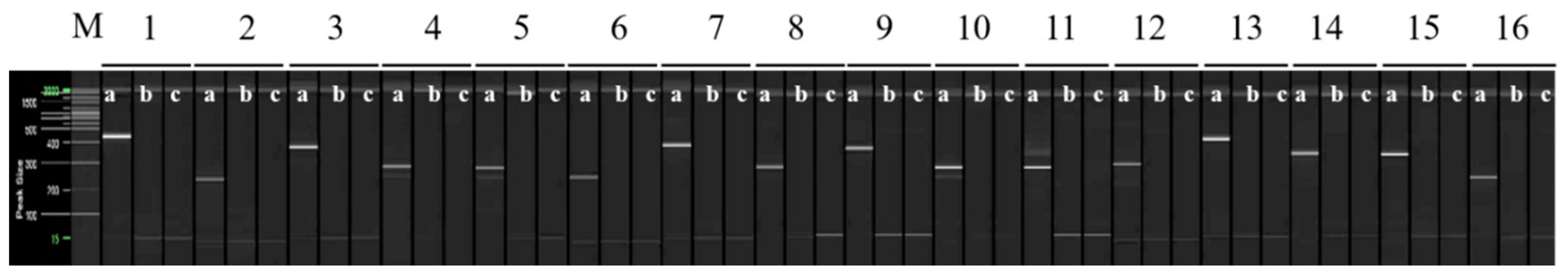 Plants 12 03988 g003