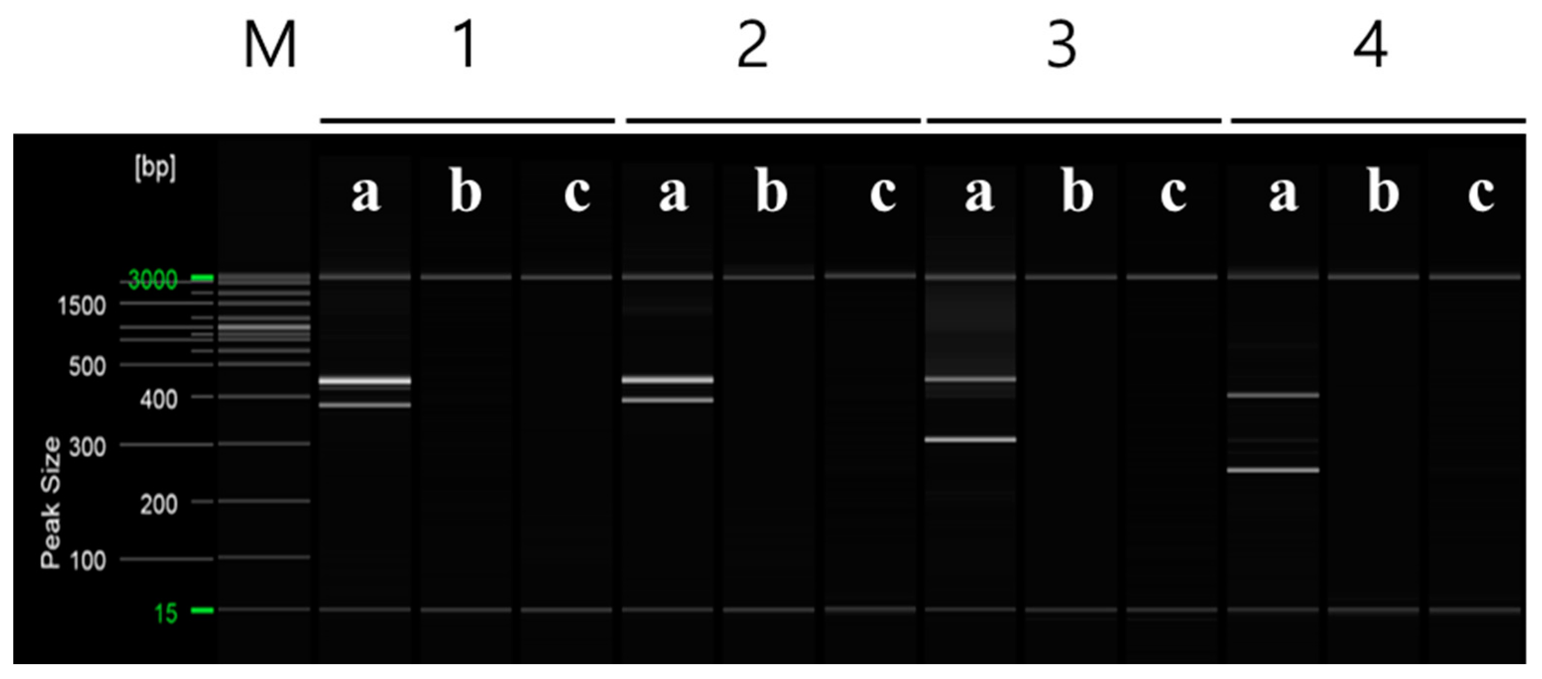 Plants 12 03988 g006