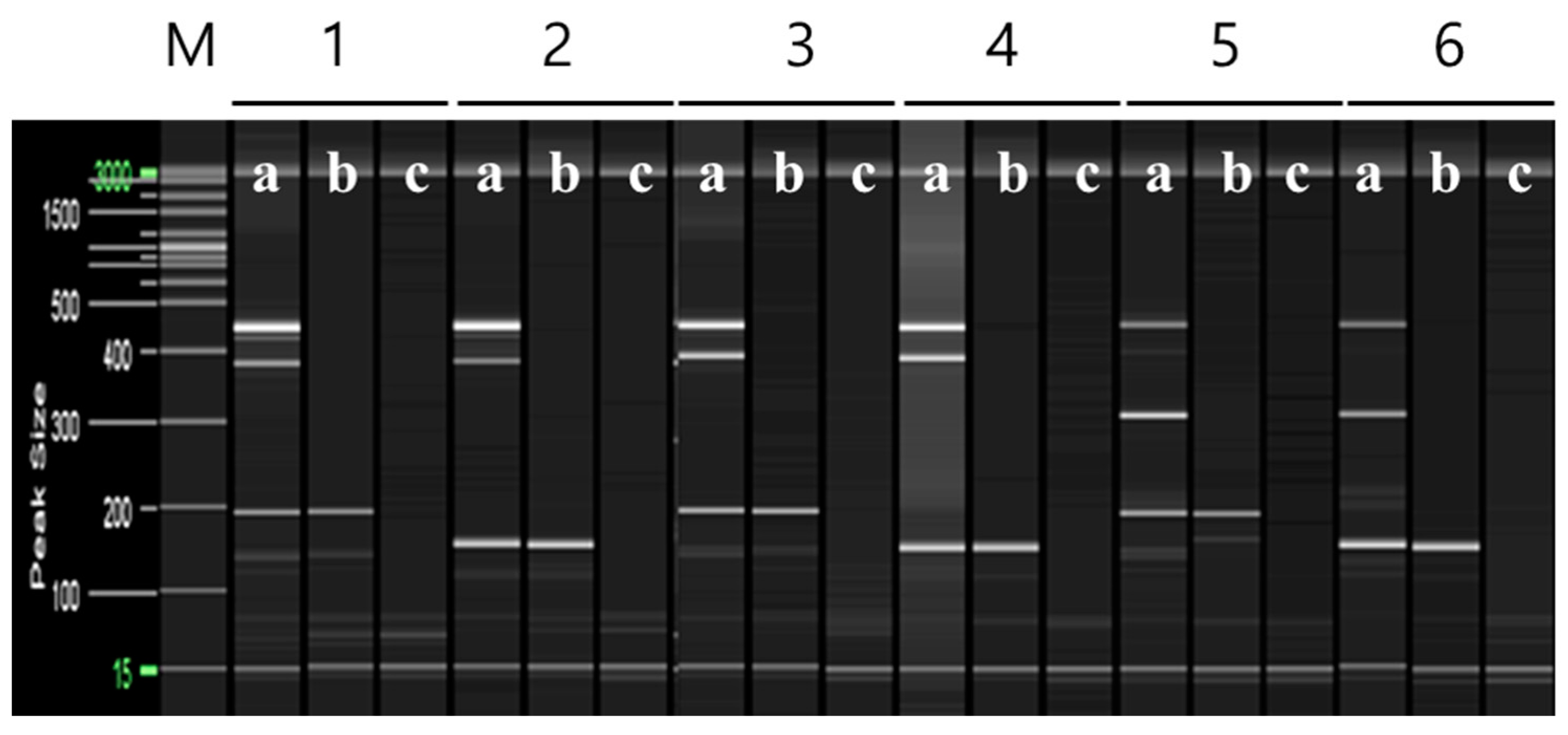 Plants 12 03988 g007