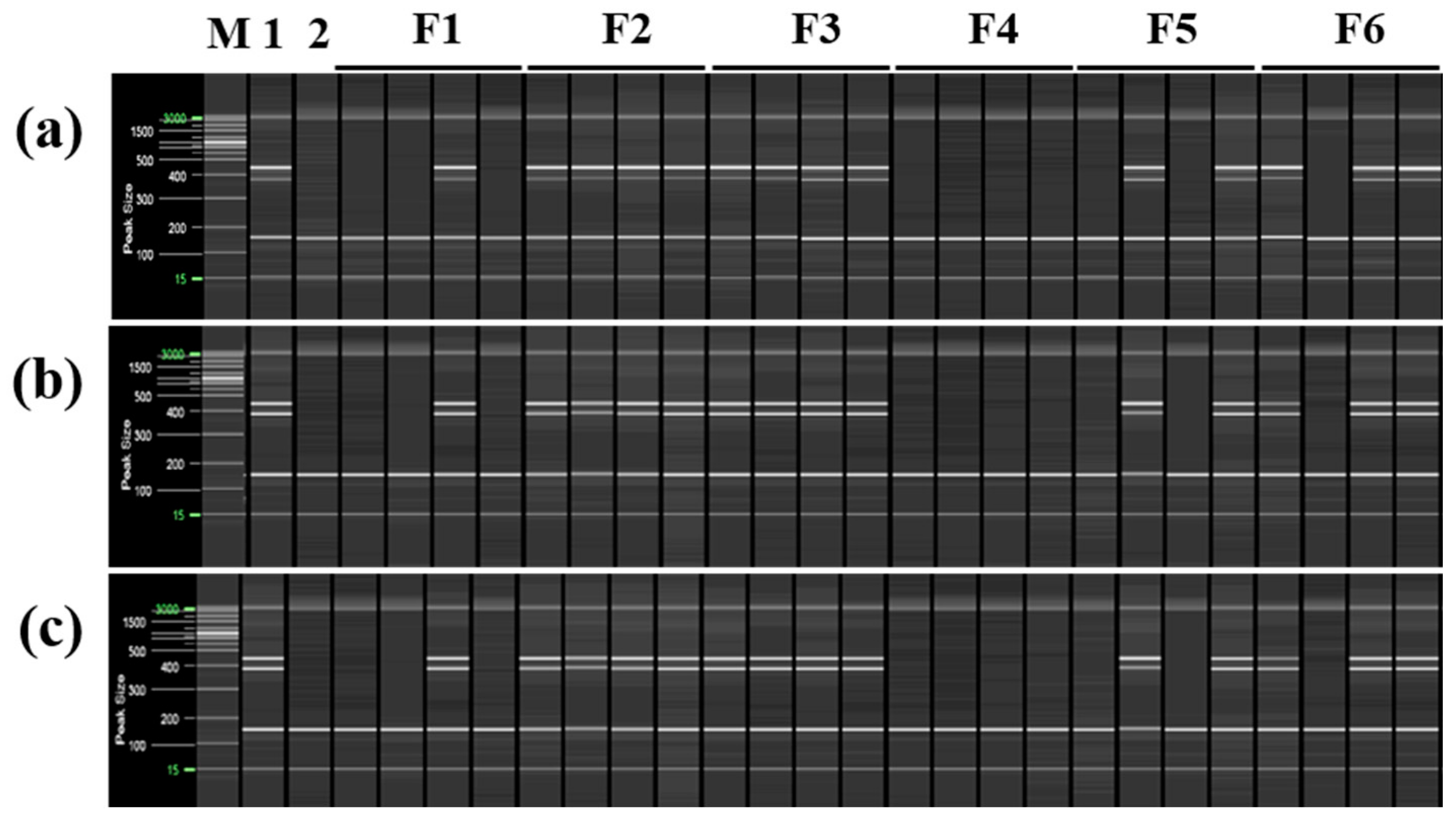 Plants 12 03988 g008