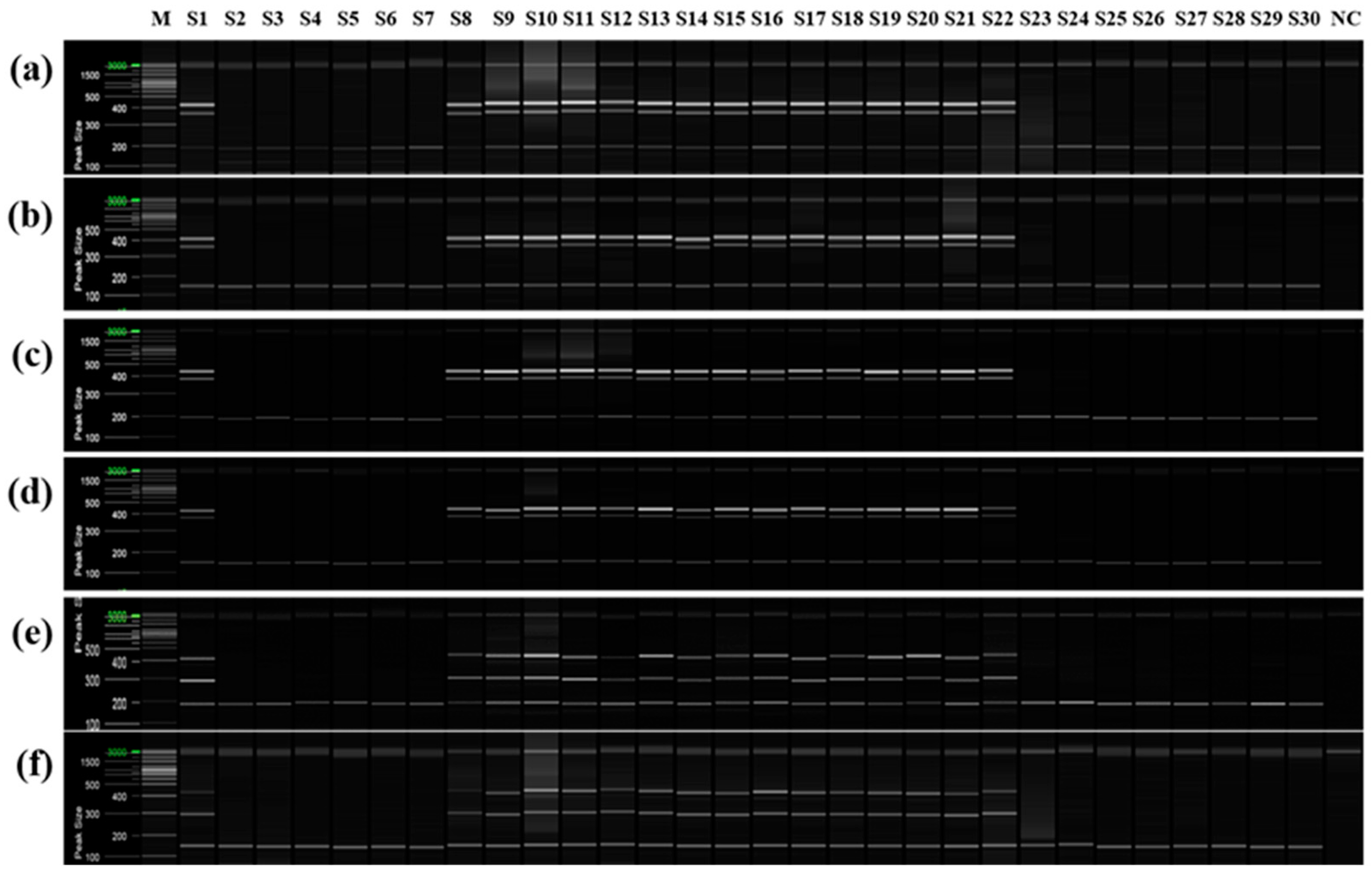 Plants 12 03988 g009