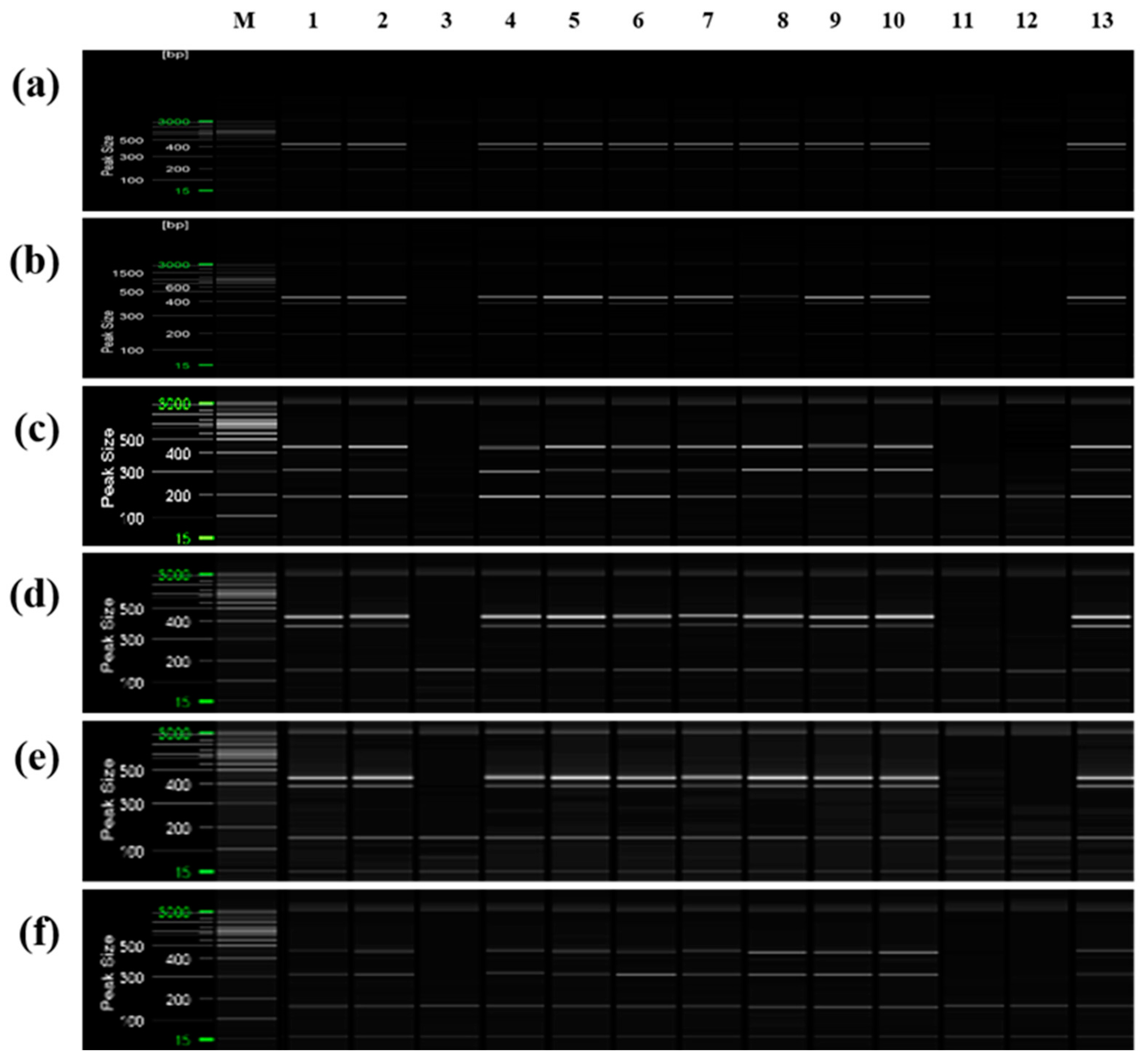 Plants 12 03988 g010