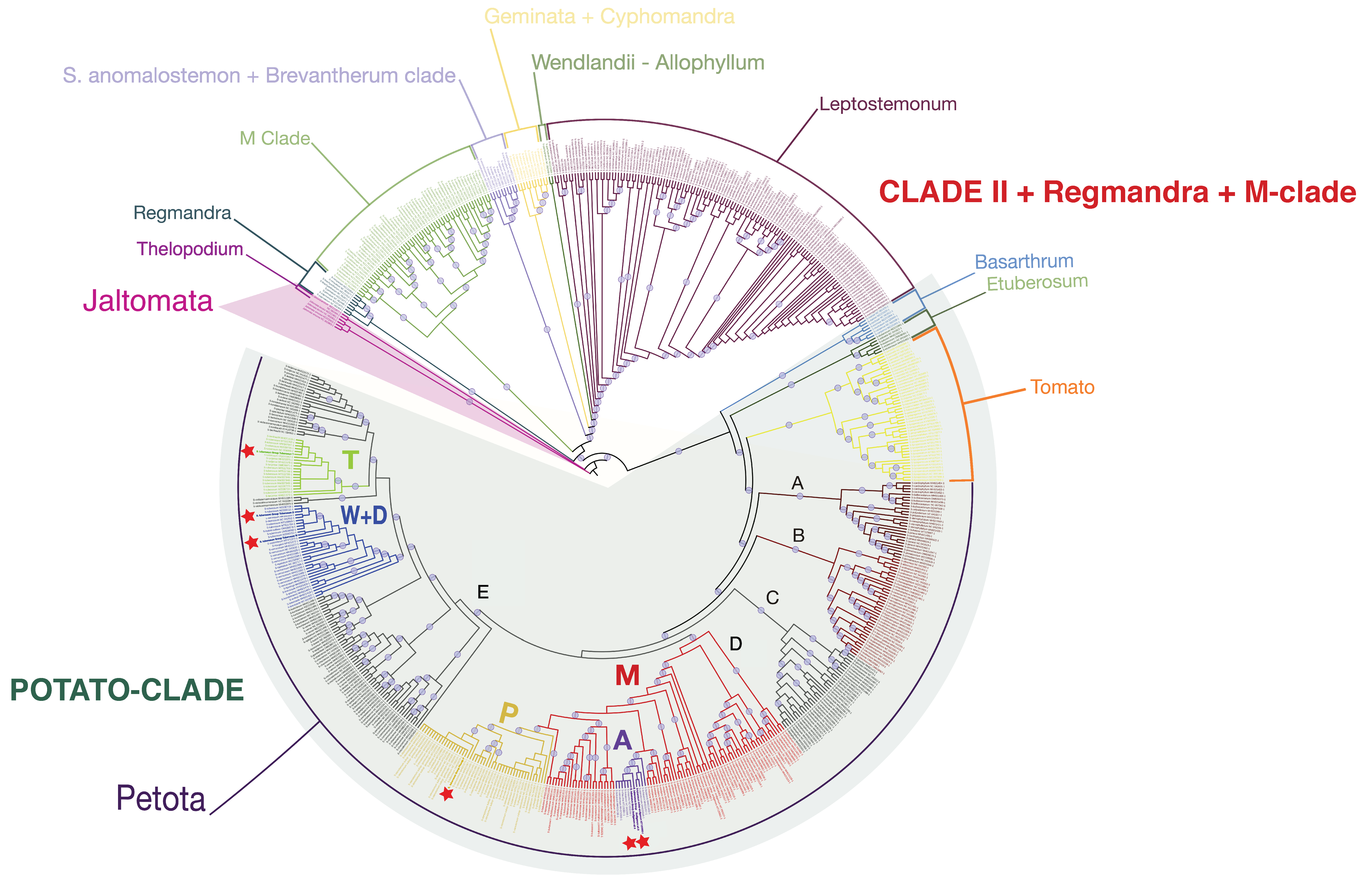Plants 12 03995 g005