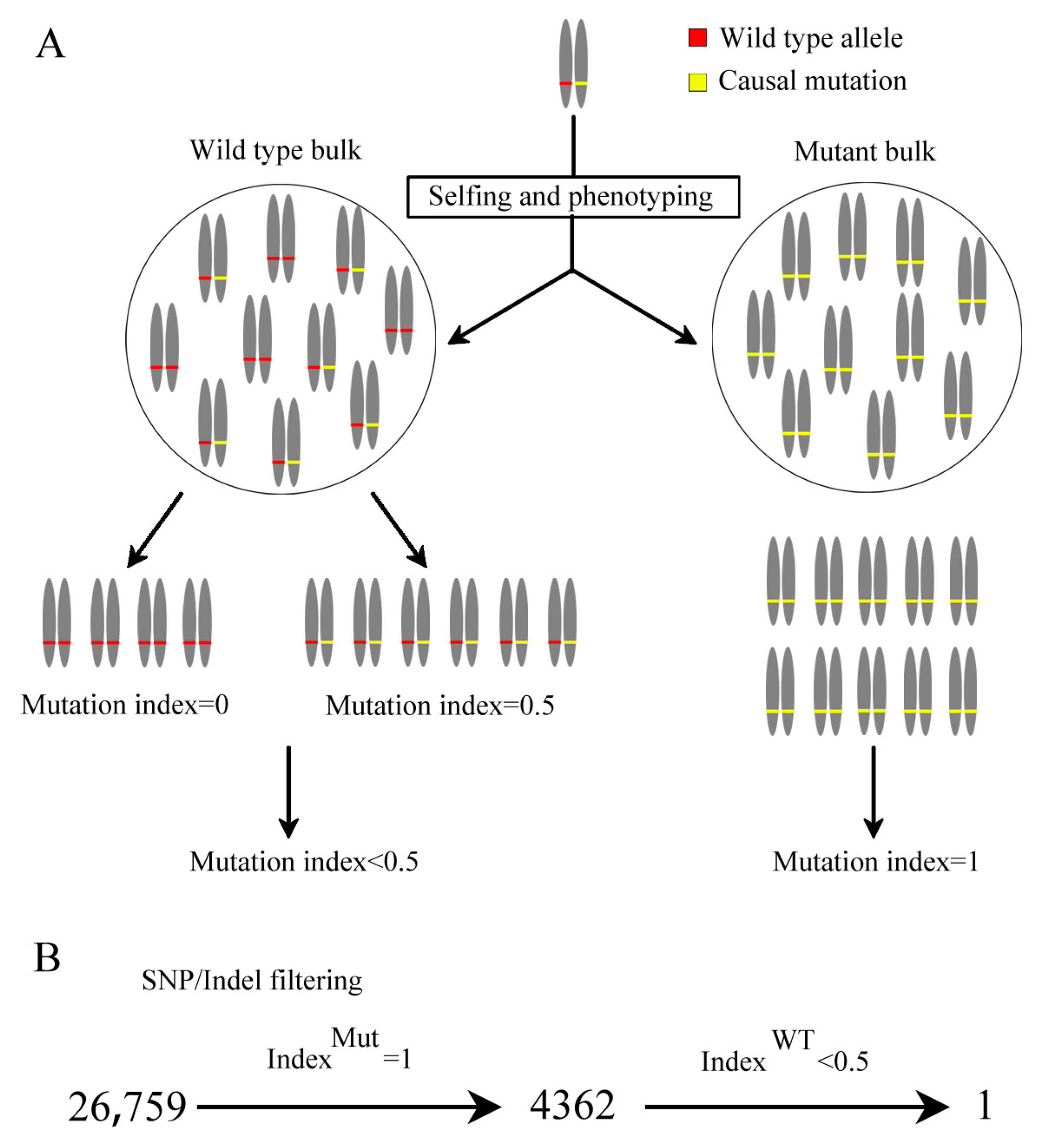 Plants 12 04003 g003