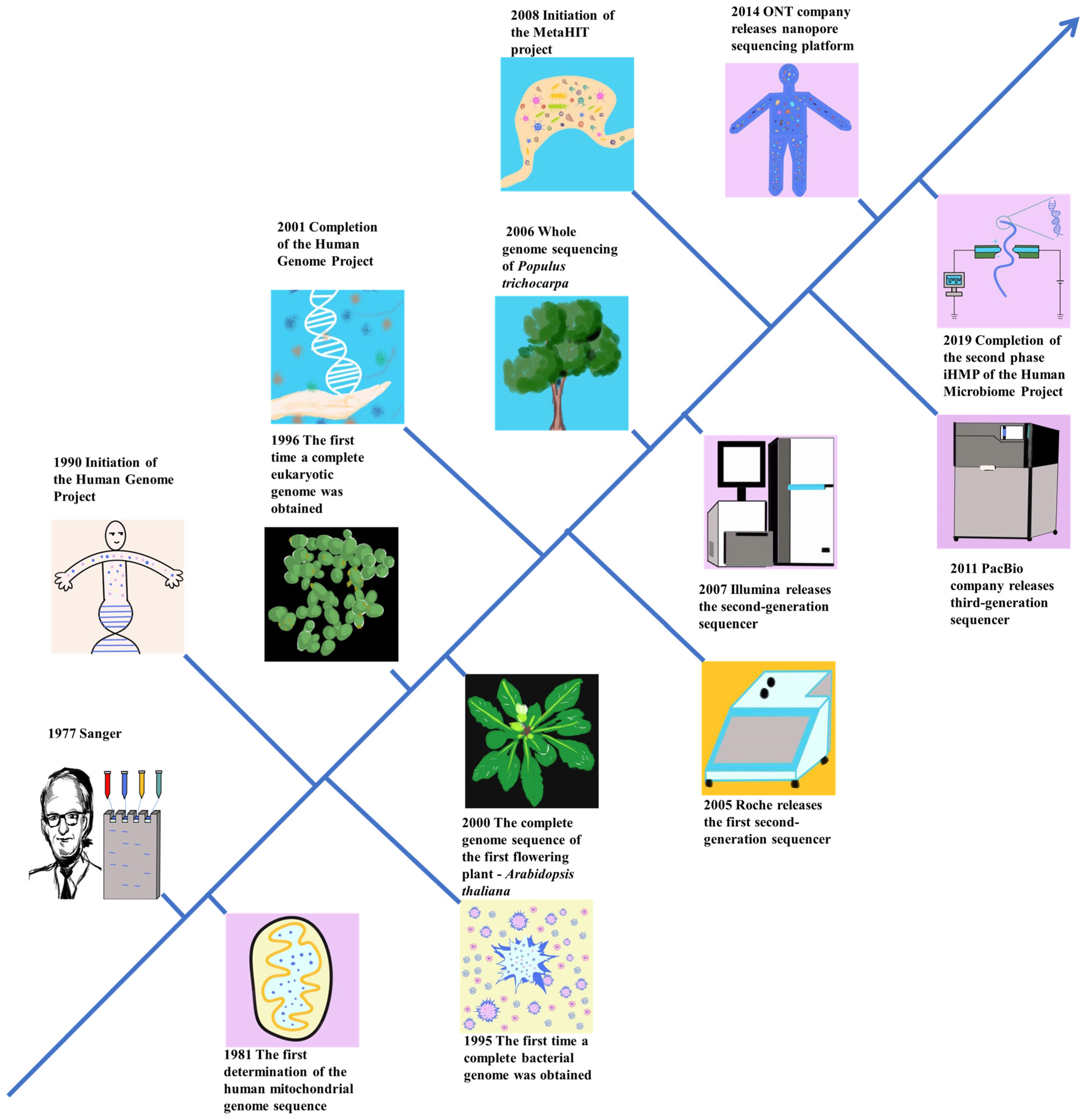 The Development of Plant Genome Sequencing Technology and Its ...