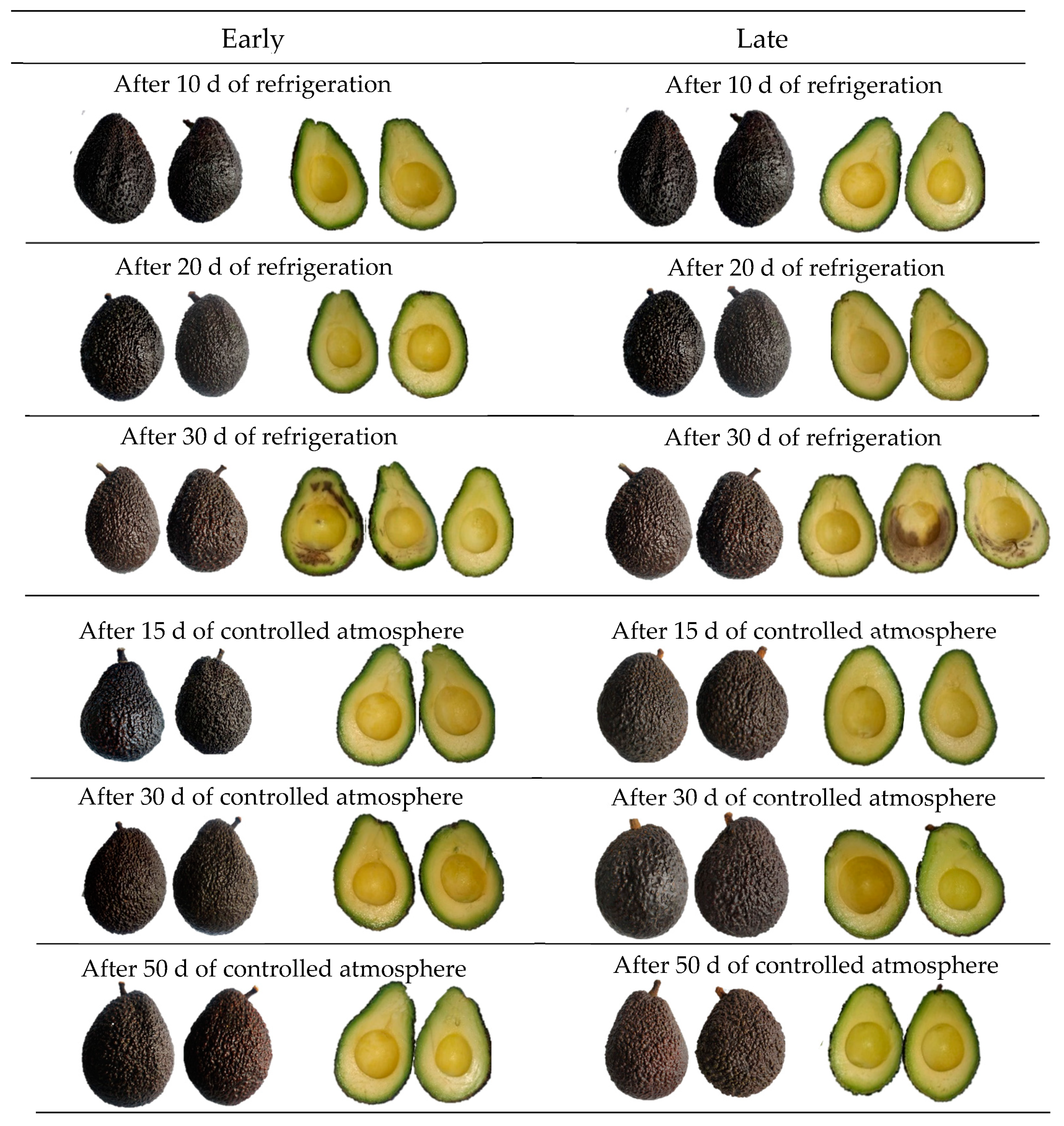 Plants 12 04008 g002