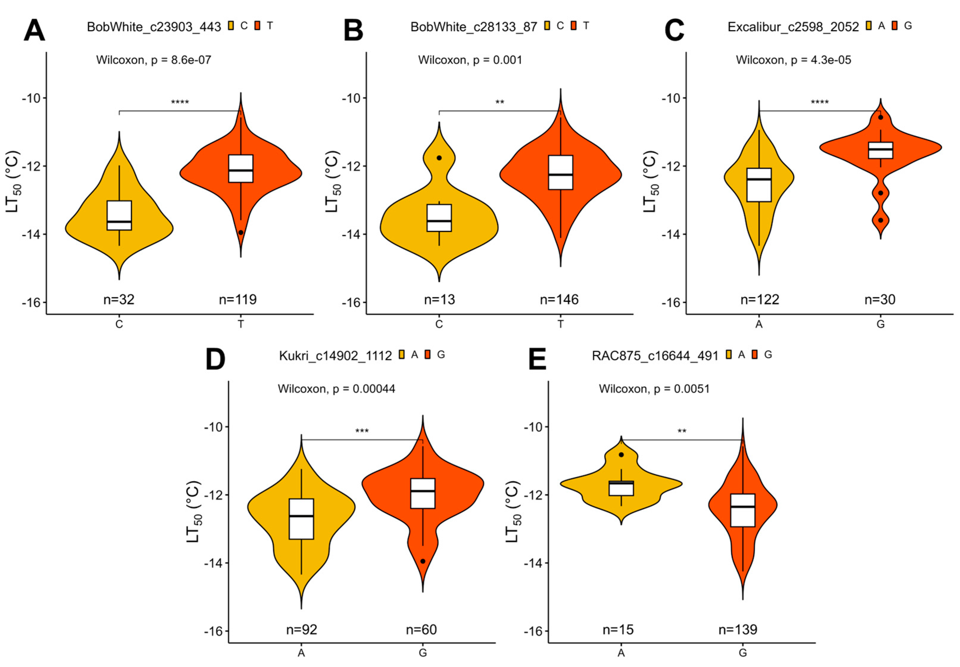 Plants 12 04014 g005 Plants 12 04014 g005