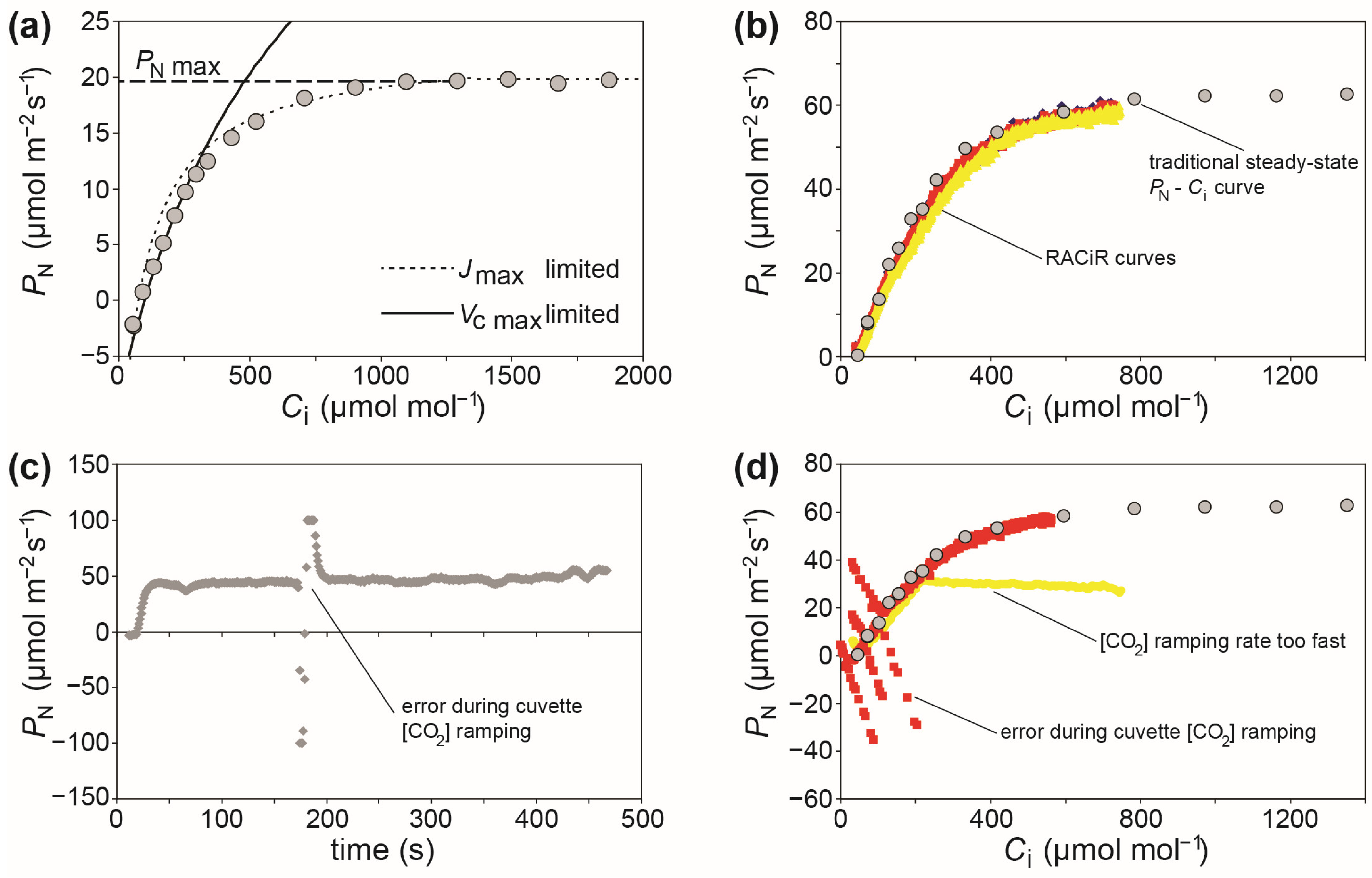 Plants 12 04015 g001