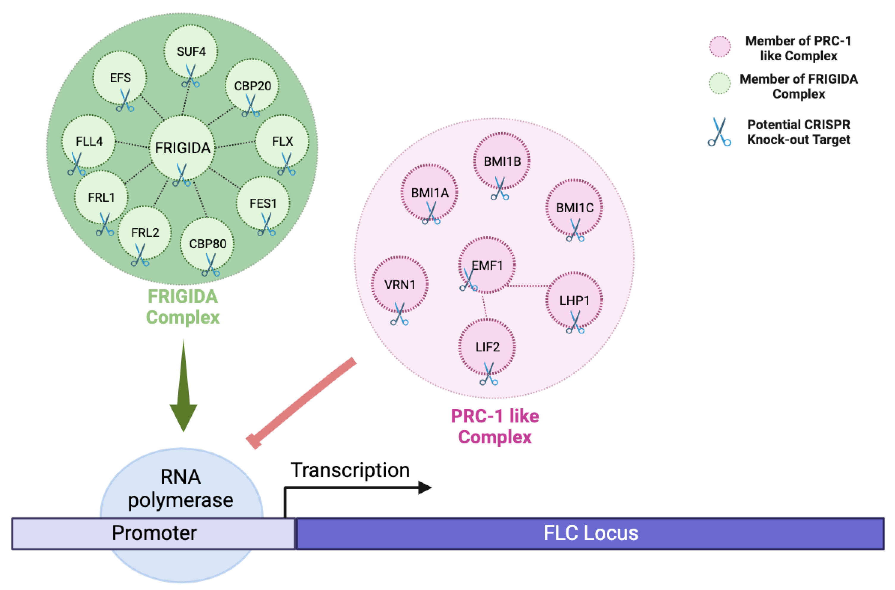 Plants 12 04020 g003