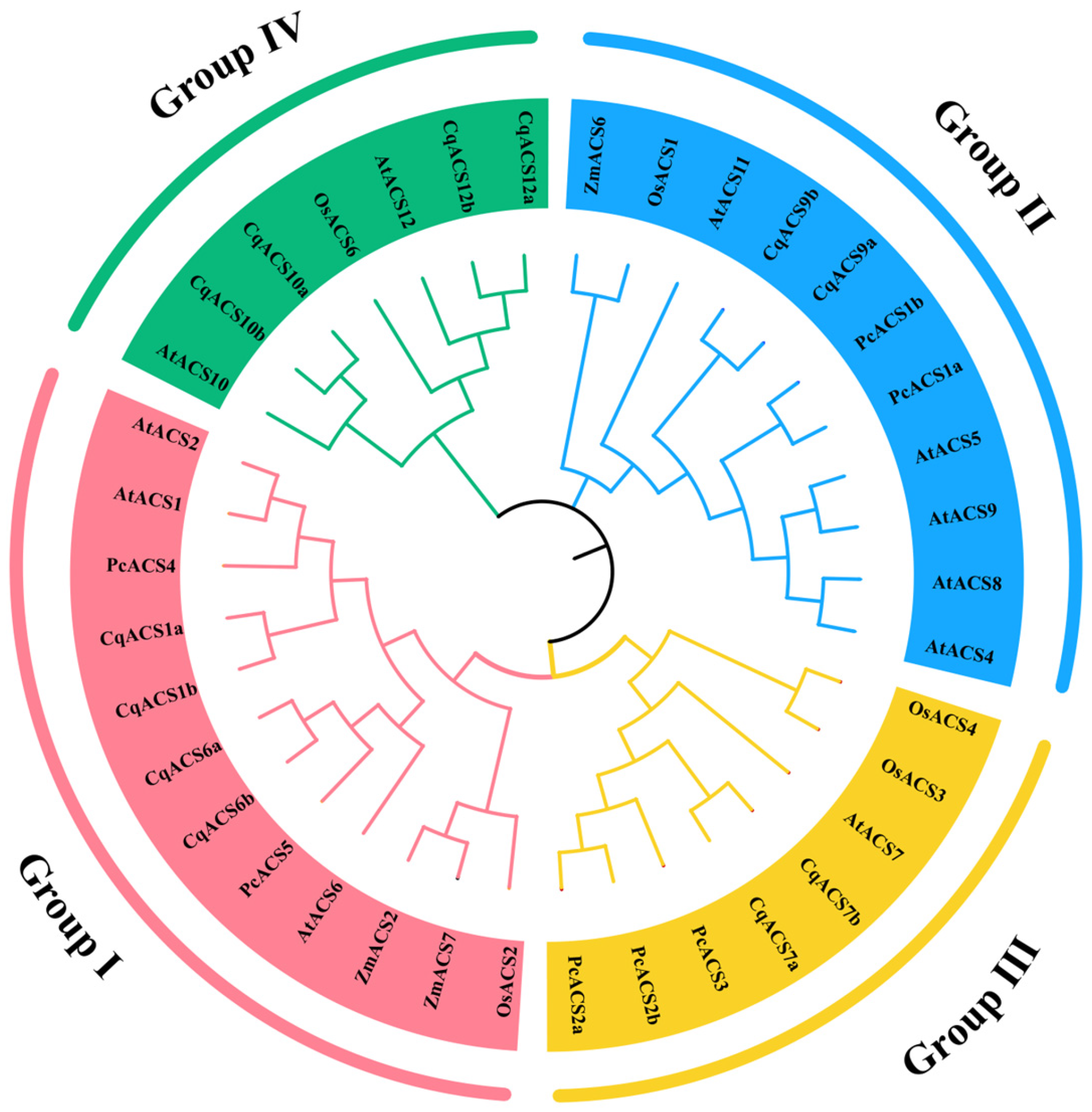 Plants 12 04021 g001