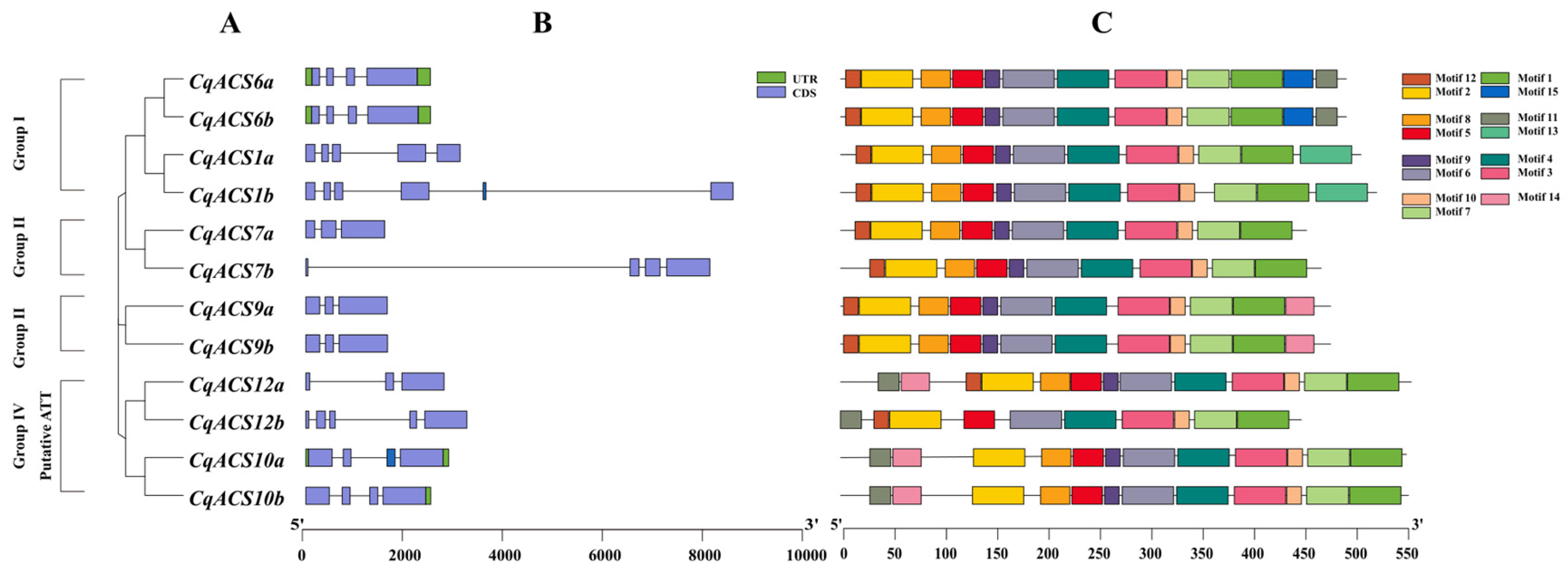 Plants 12 04021 g002