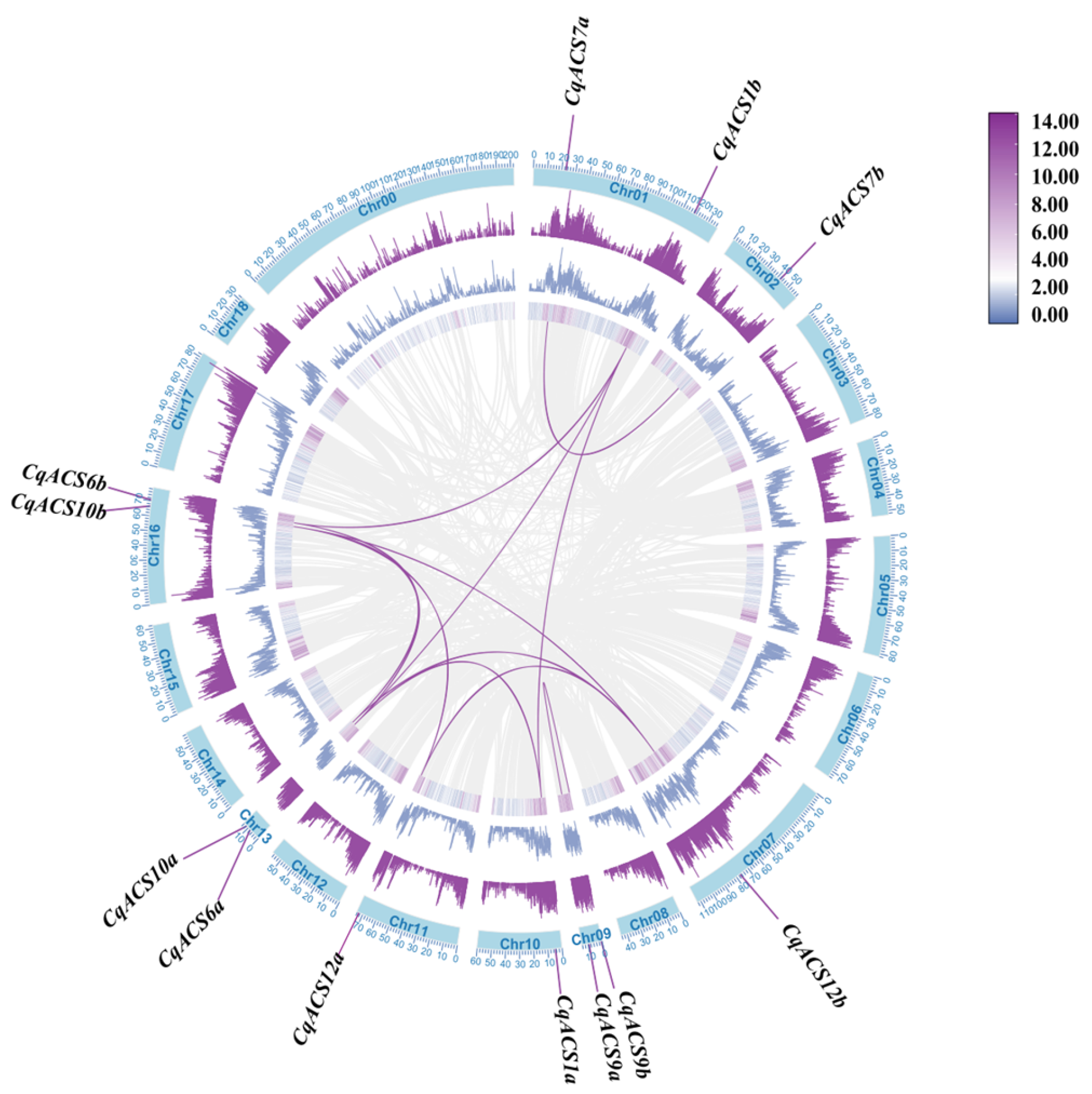 Plants 12 04021 g003