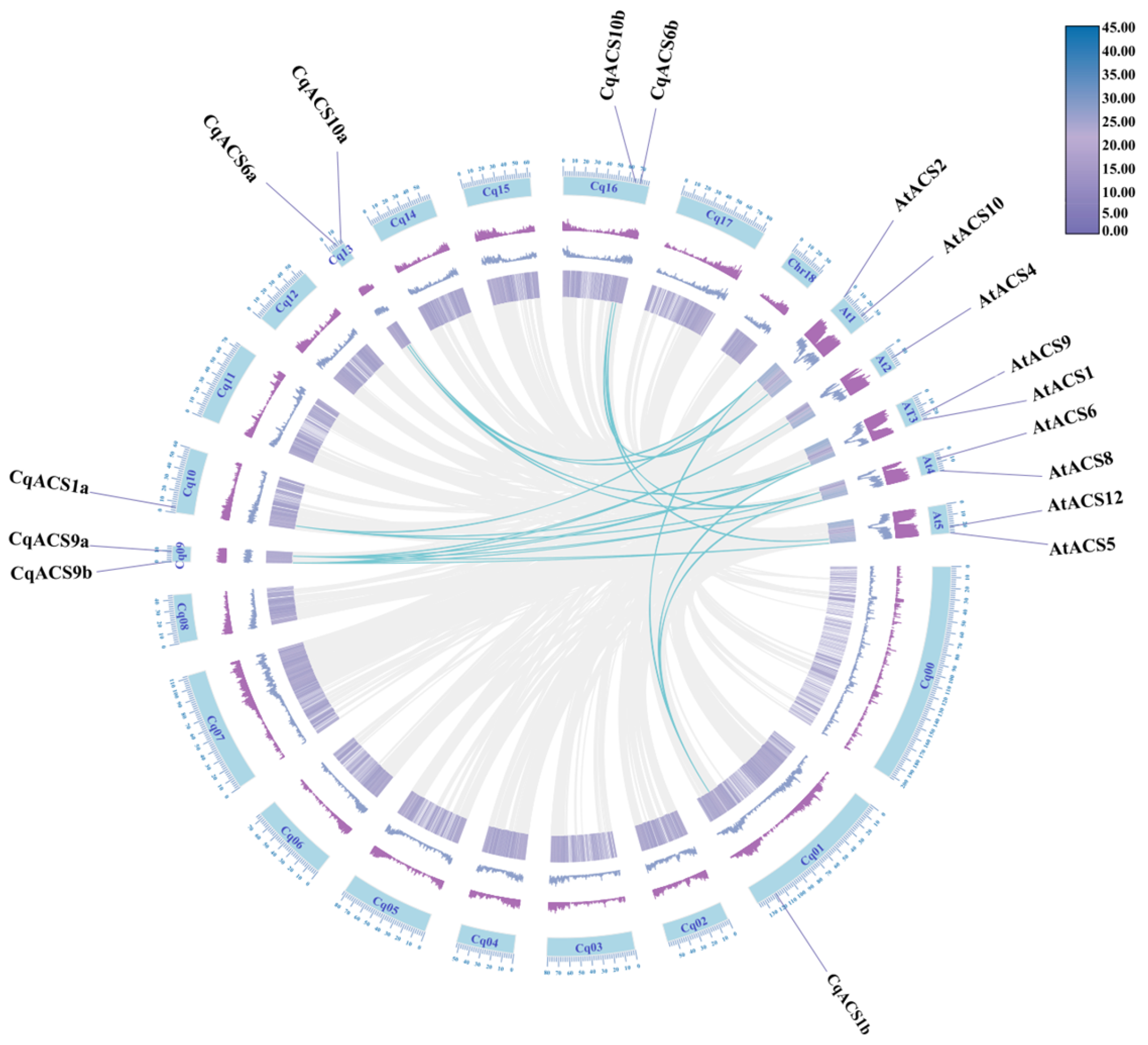 Plants 12 04021 g004